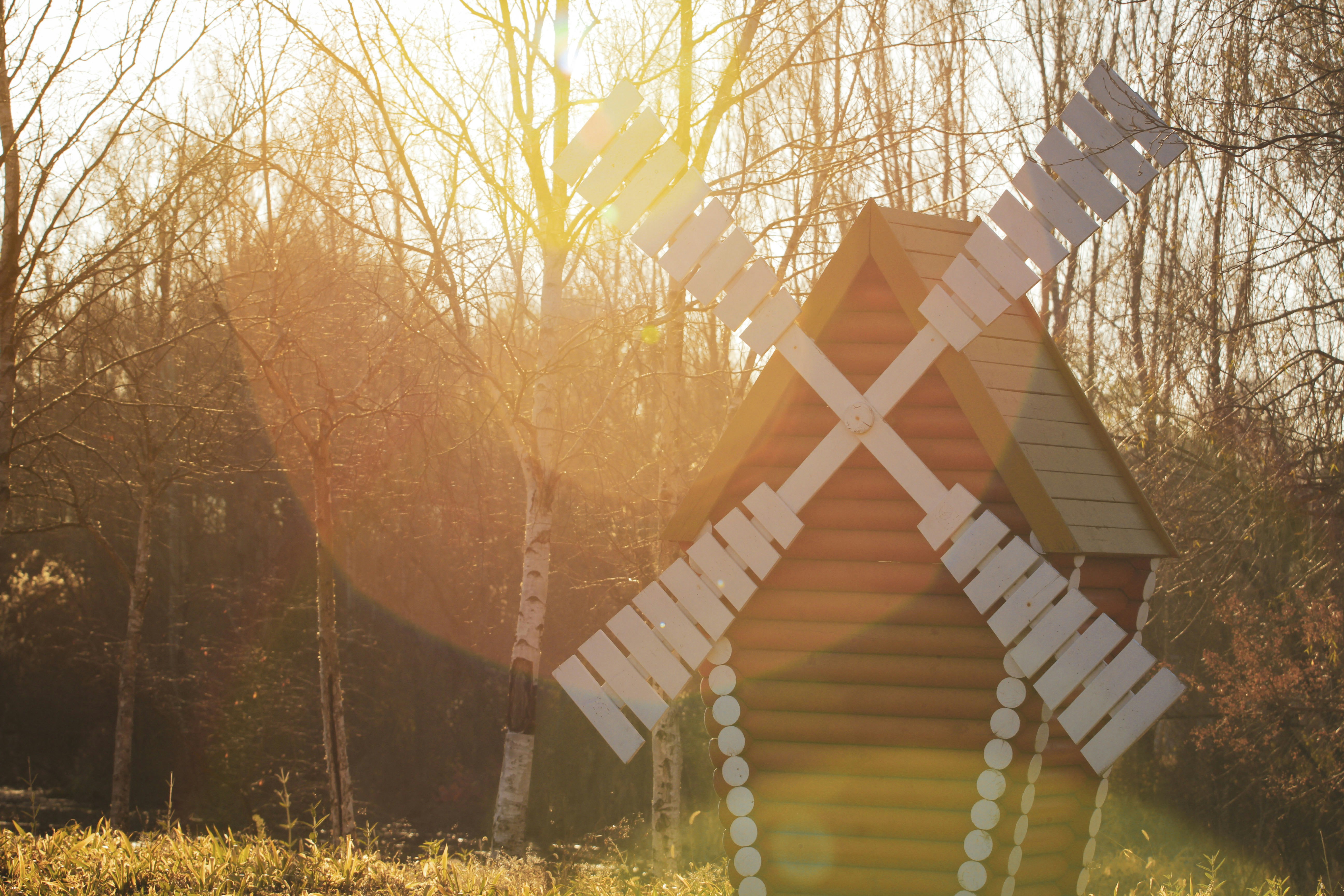 a wooden bridge with trees on either side of it