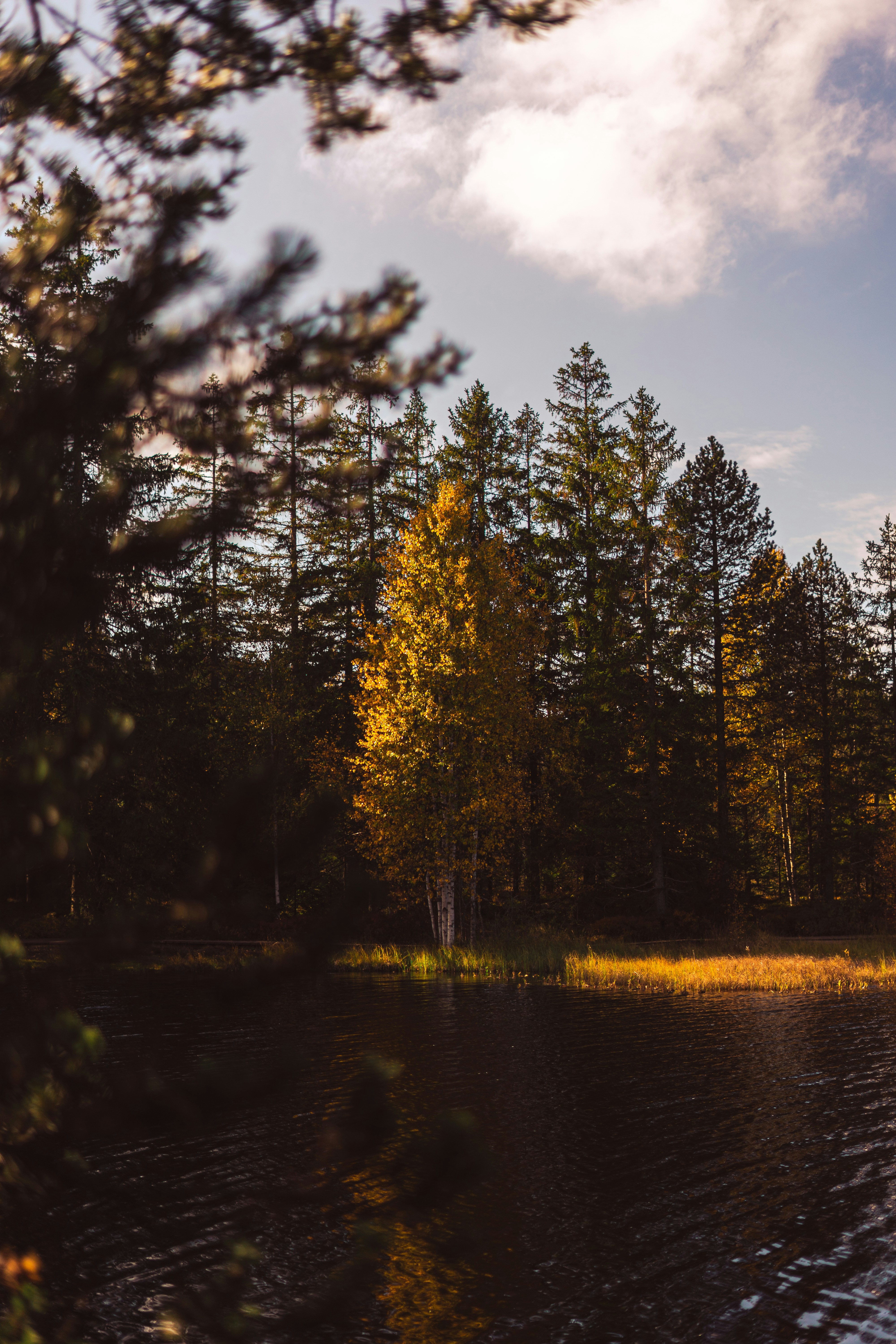 Photo by virussinside