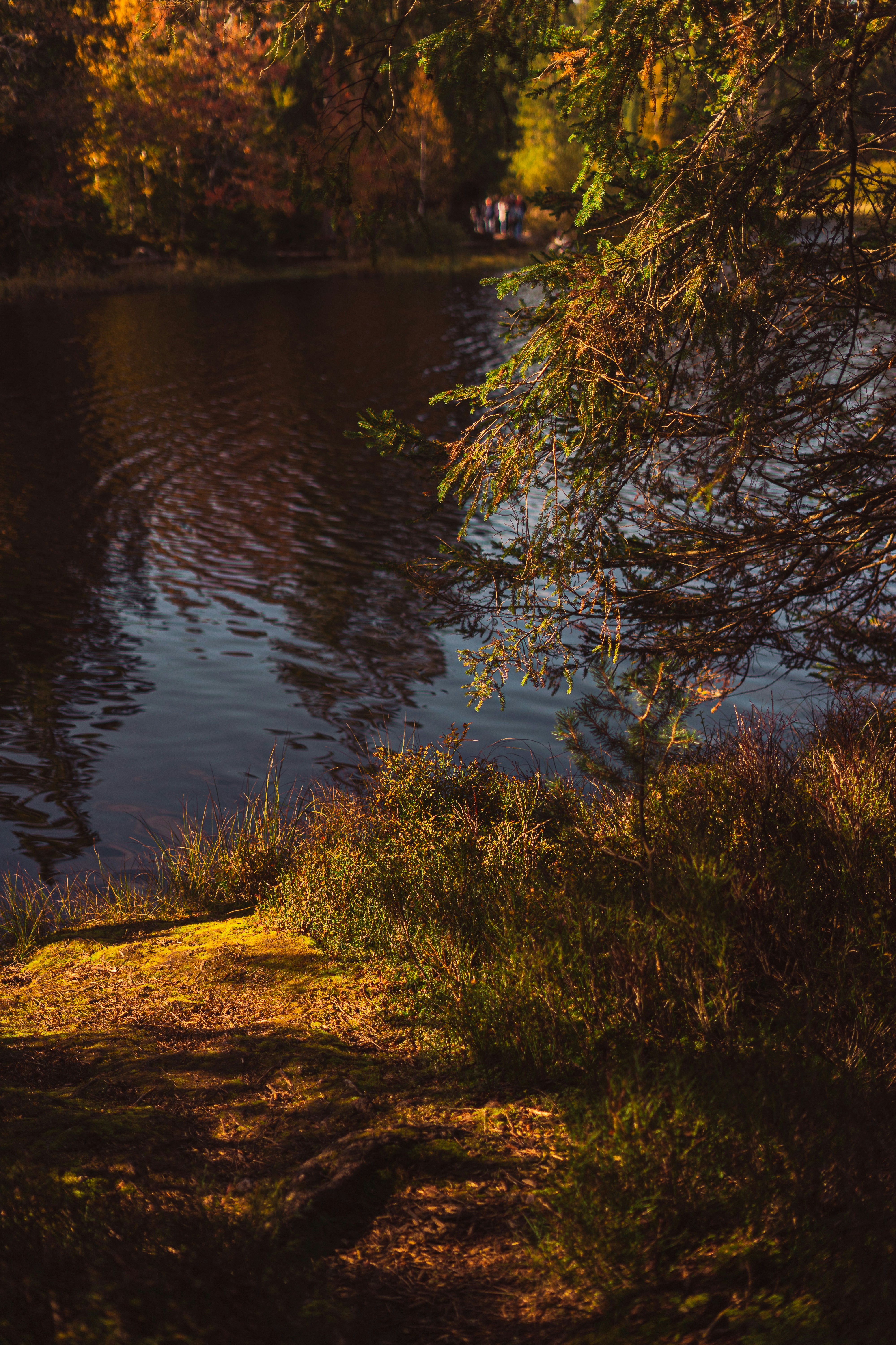 Photo by virussinside