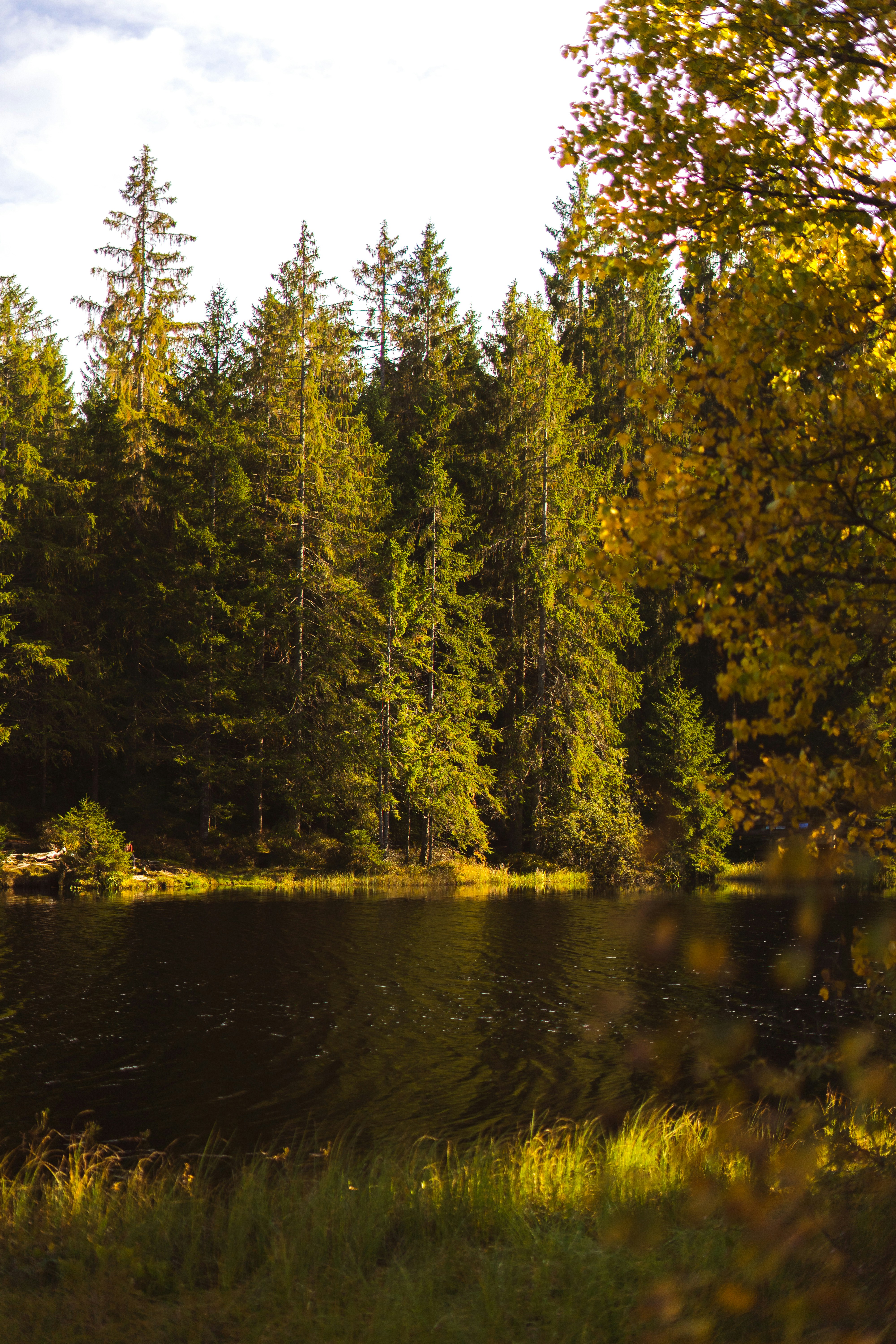 Photo by virussinside