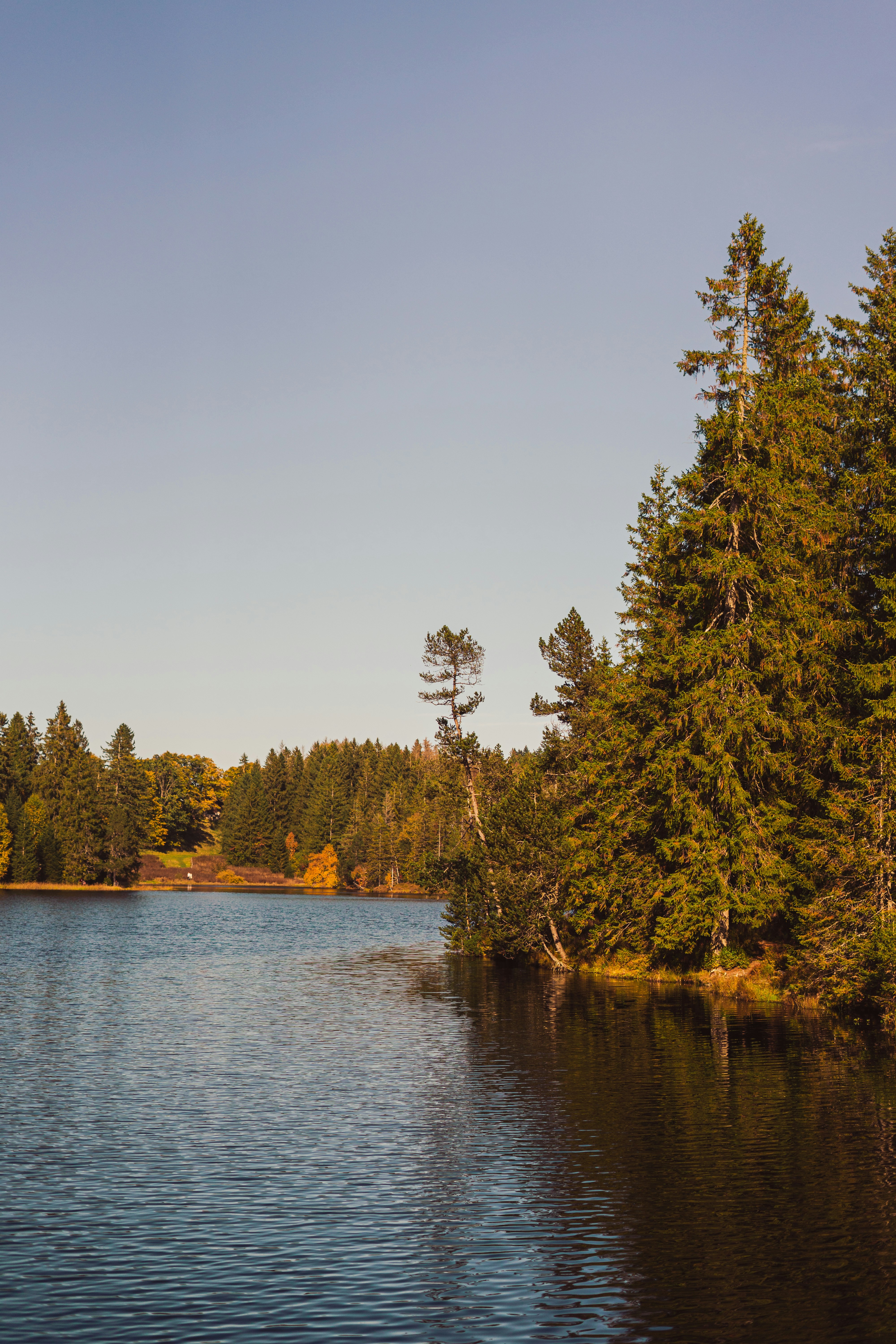 Photo by virussinside