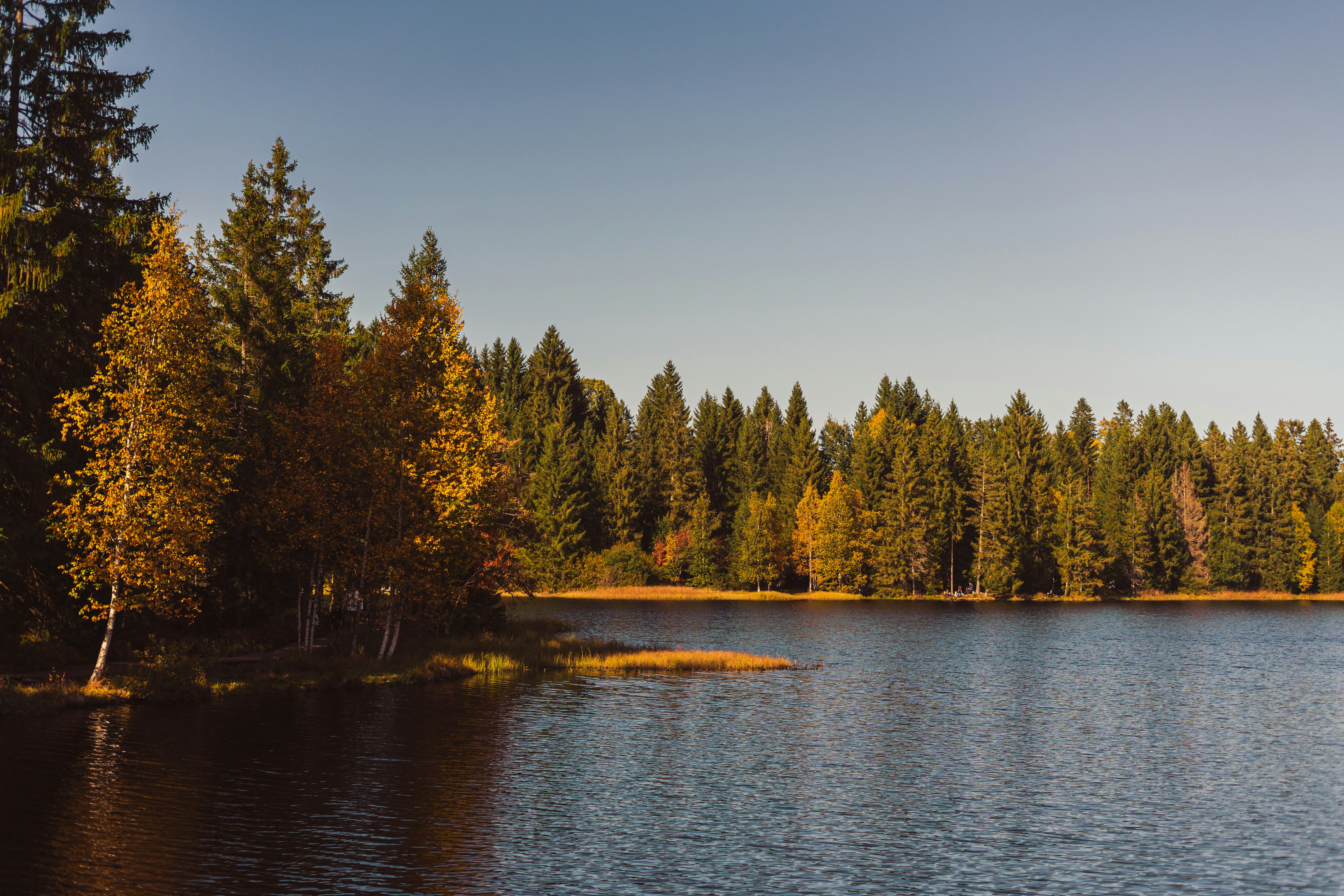 Photo by virussinside