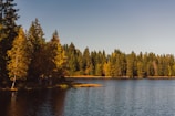A serene lake surrounded by autumn trees with dark shadows and golden light