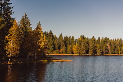 A serene lake surrounded by autumn trees with dark shadows and golden light