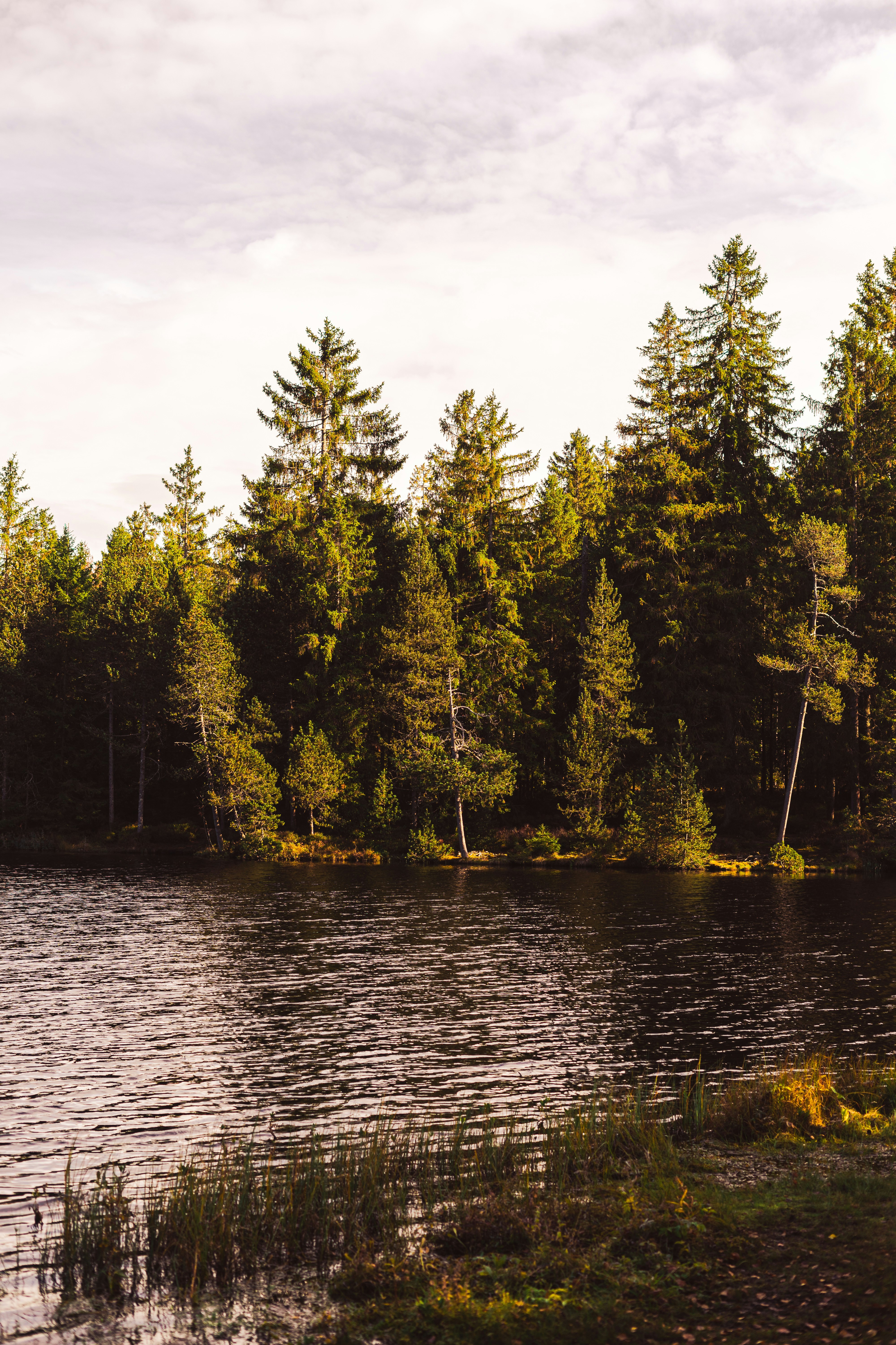 Photo by virussinside