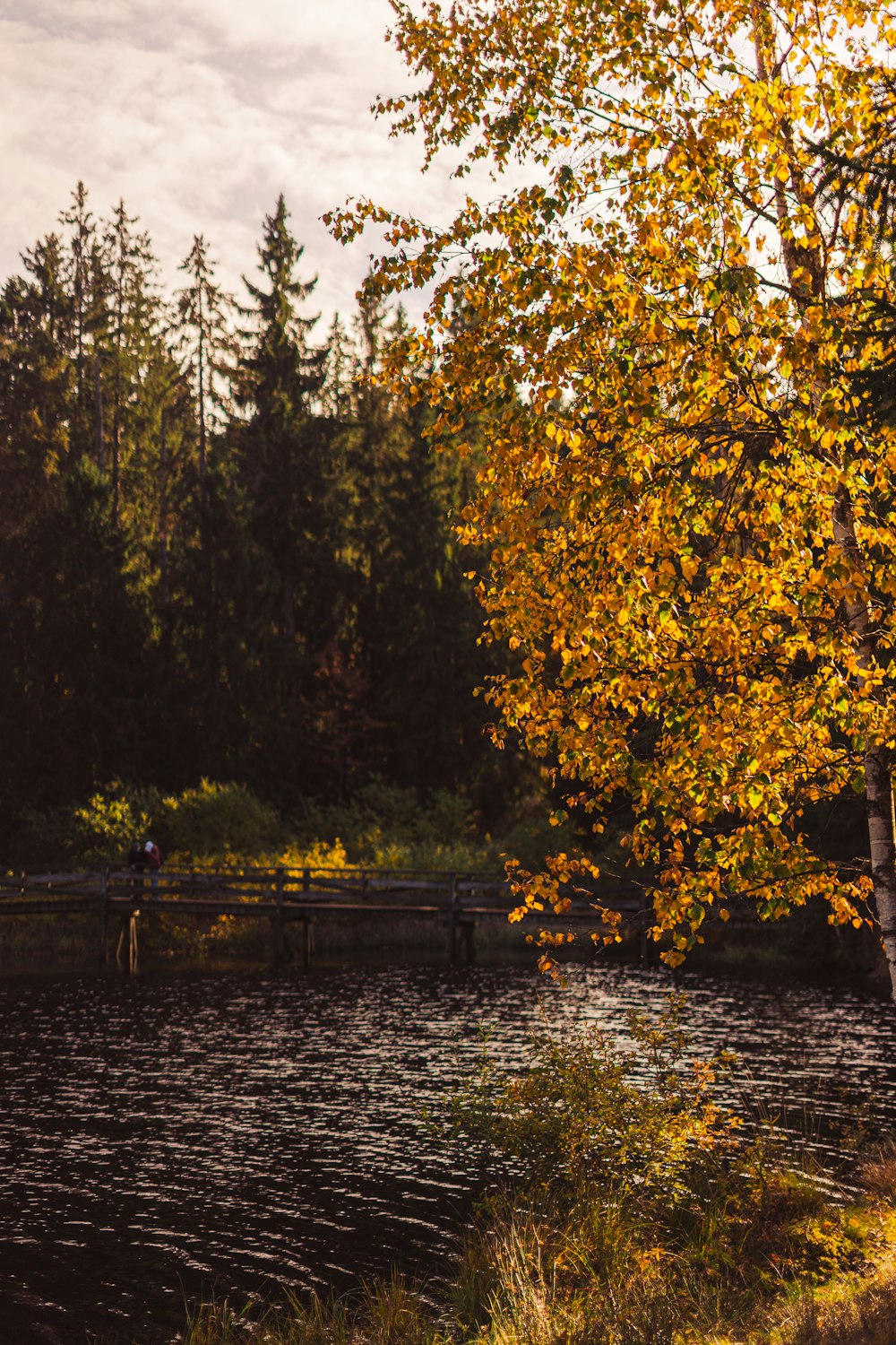 a wooden bridge over a river