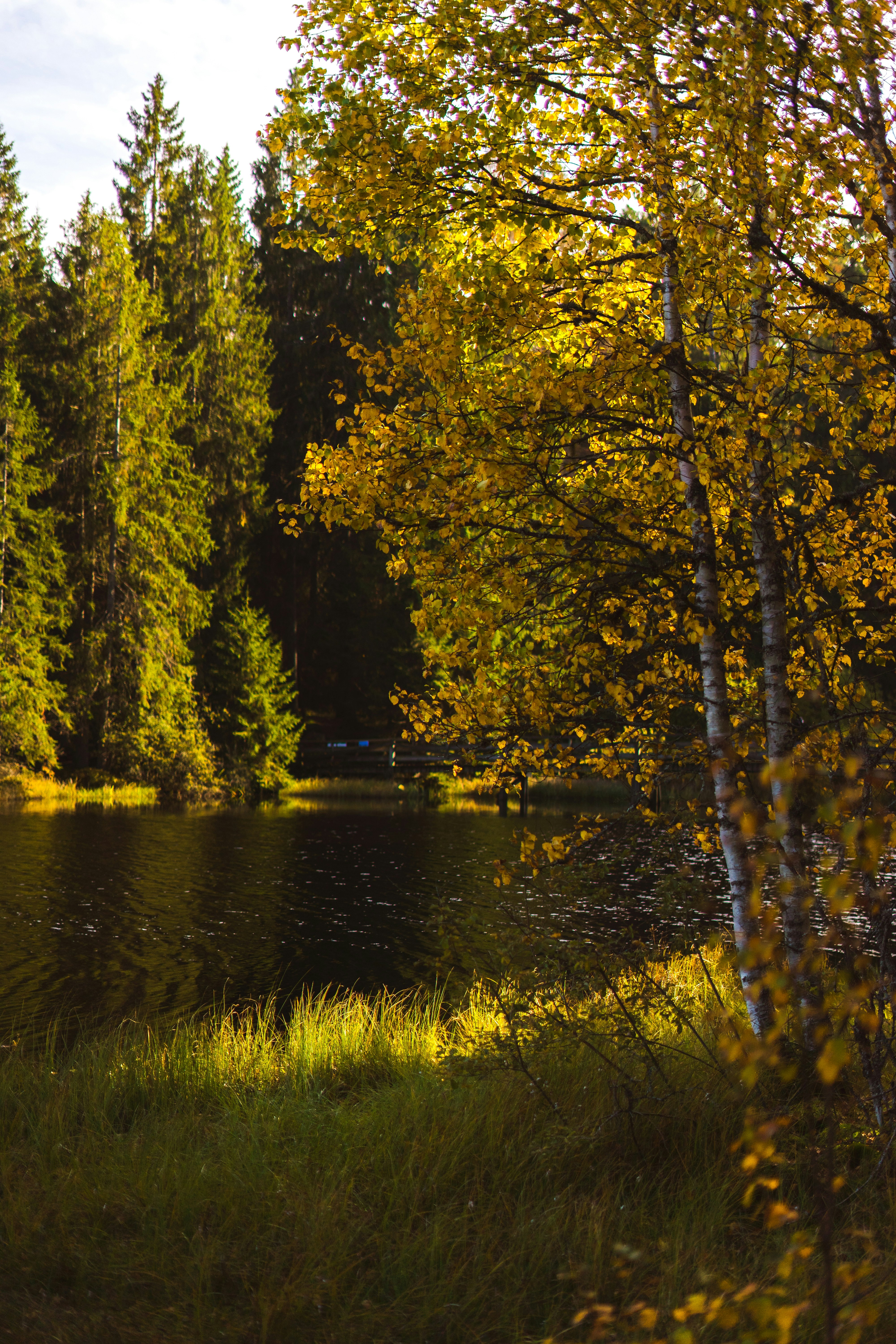 Photo by virussinside