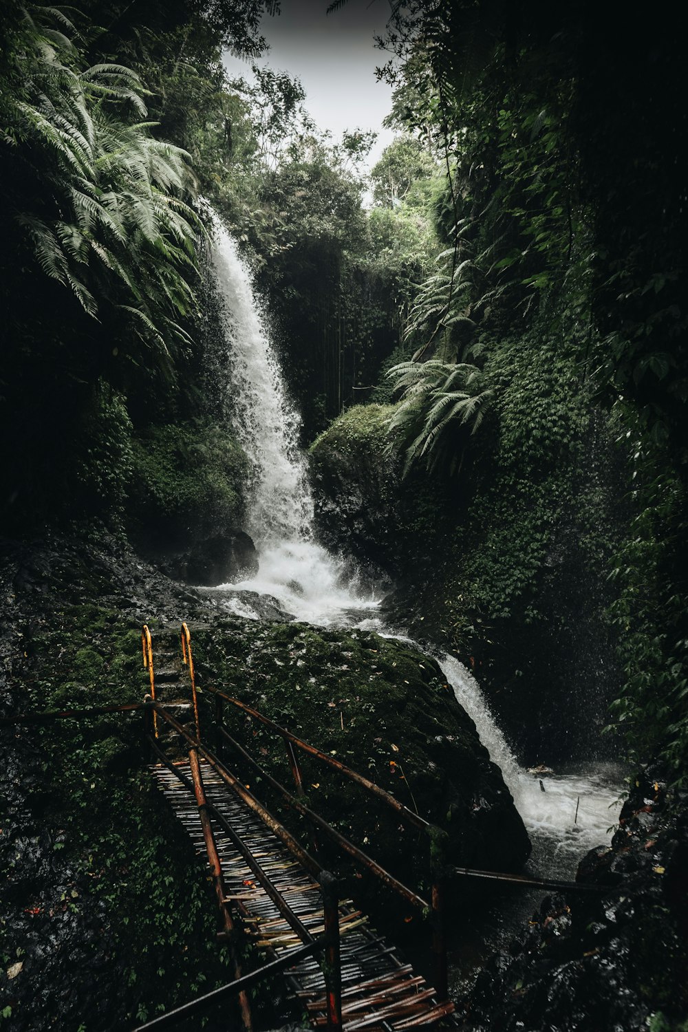 a waterfall in a forest