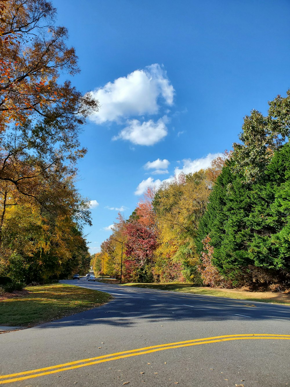 a road with trees on the side