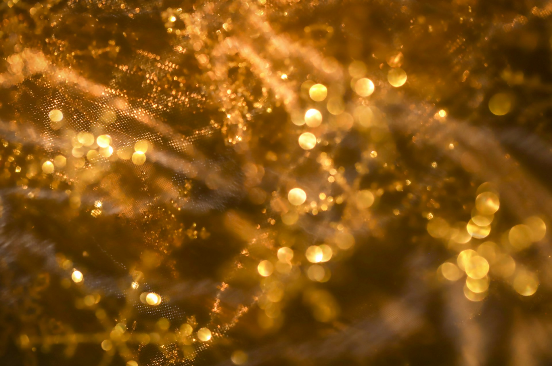 a close up of water droplets