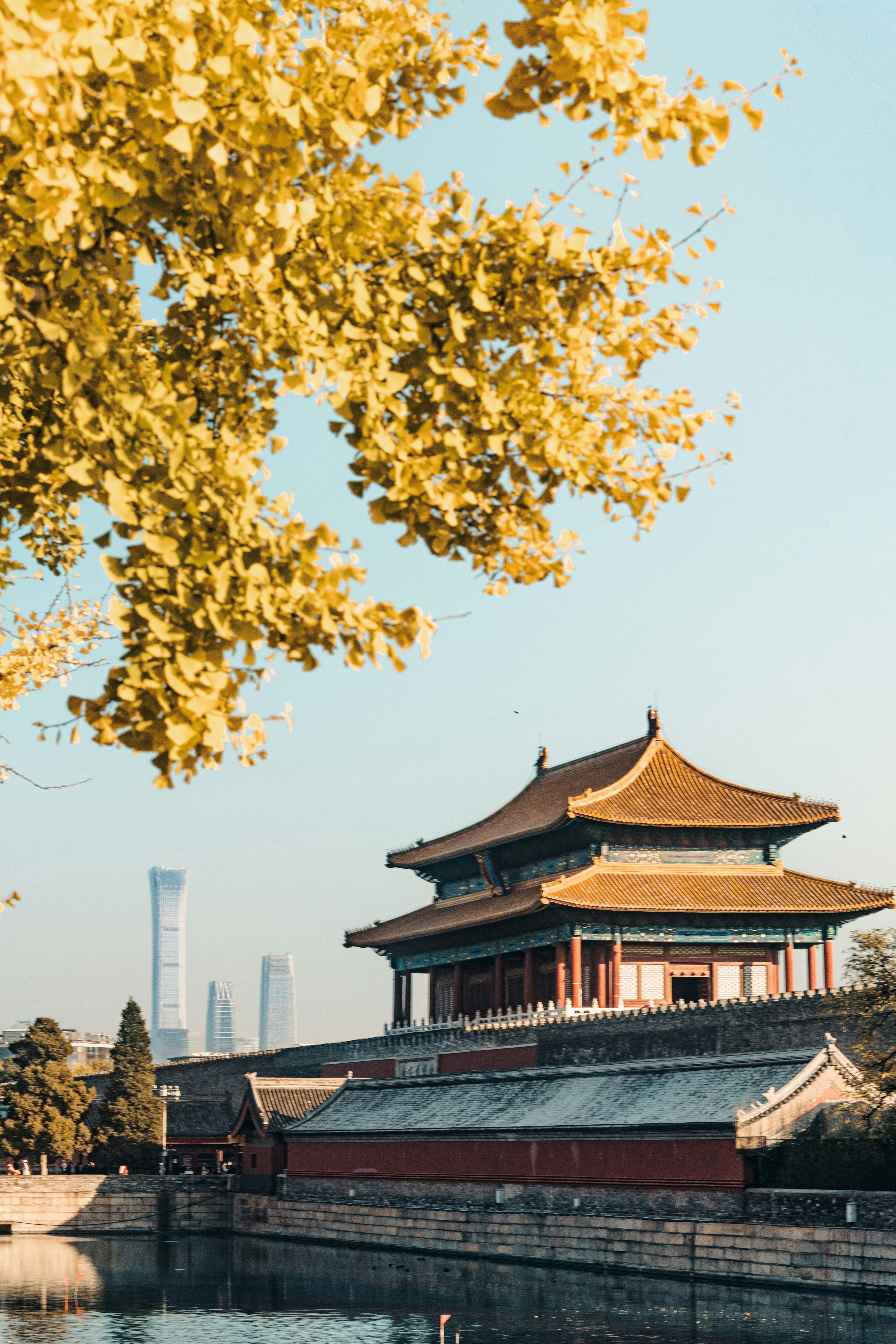 Photo by zhangkaiyv
