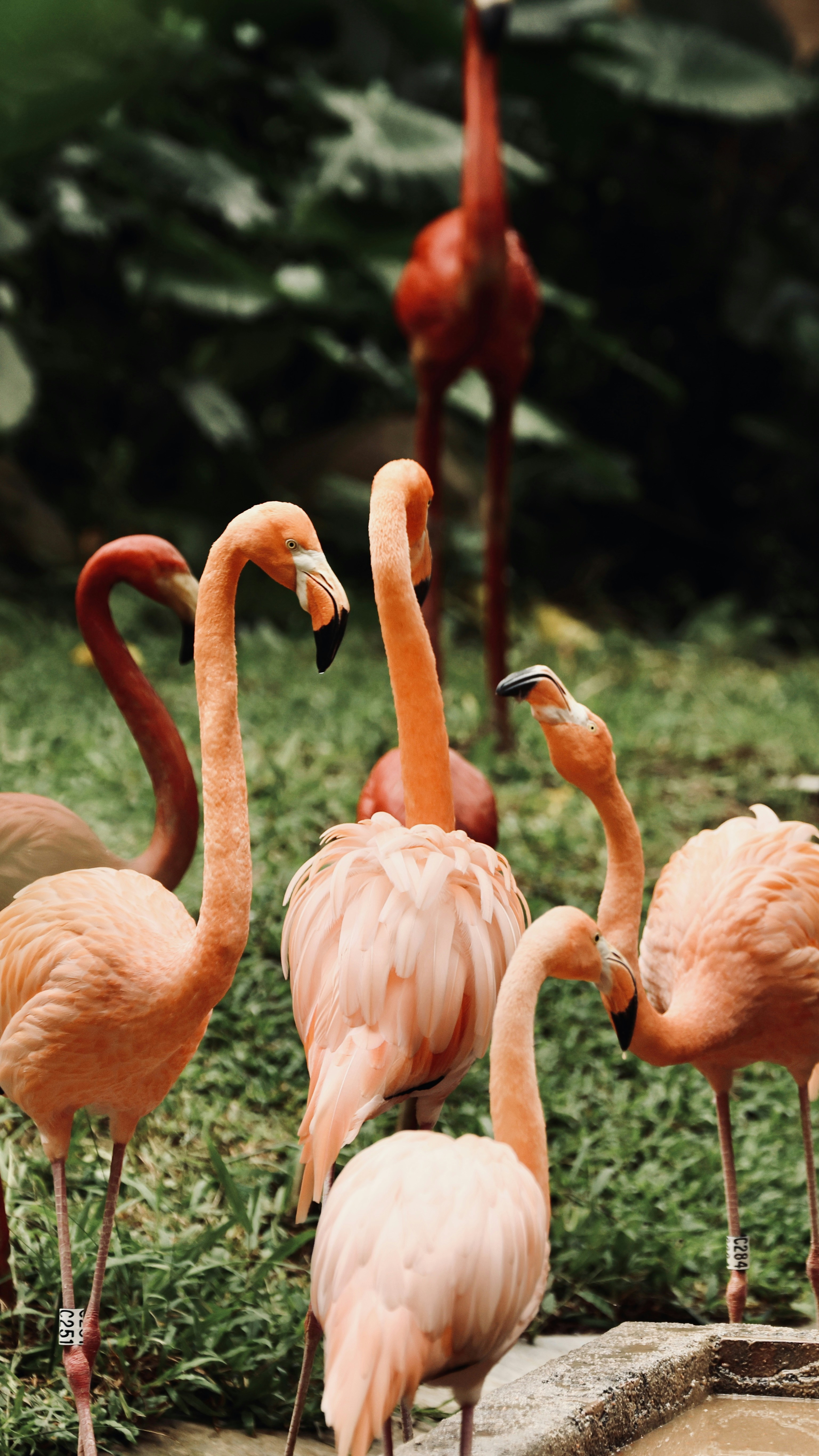 Photo by dickenslin76