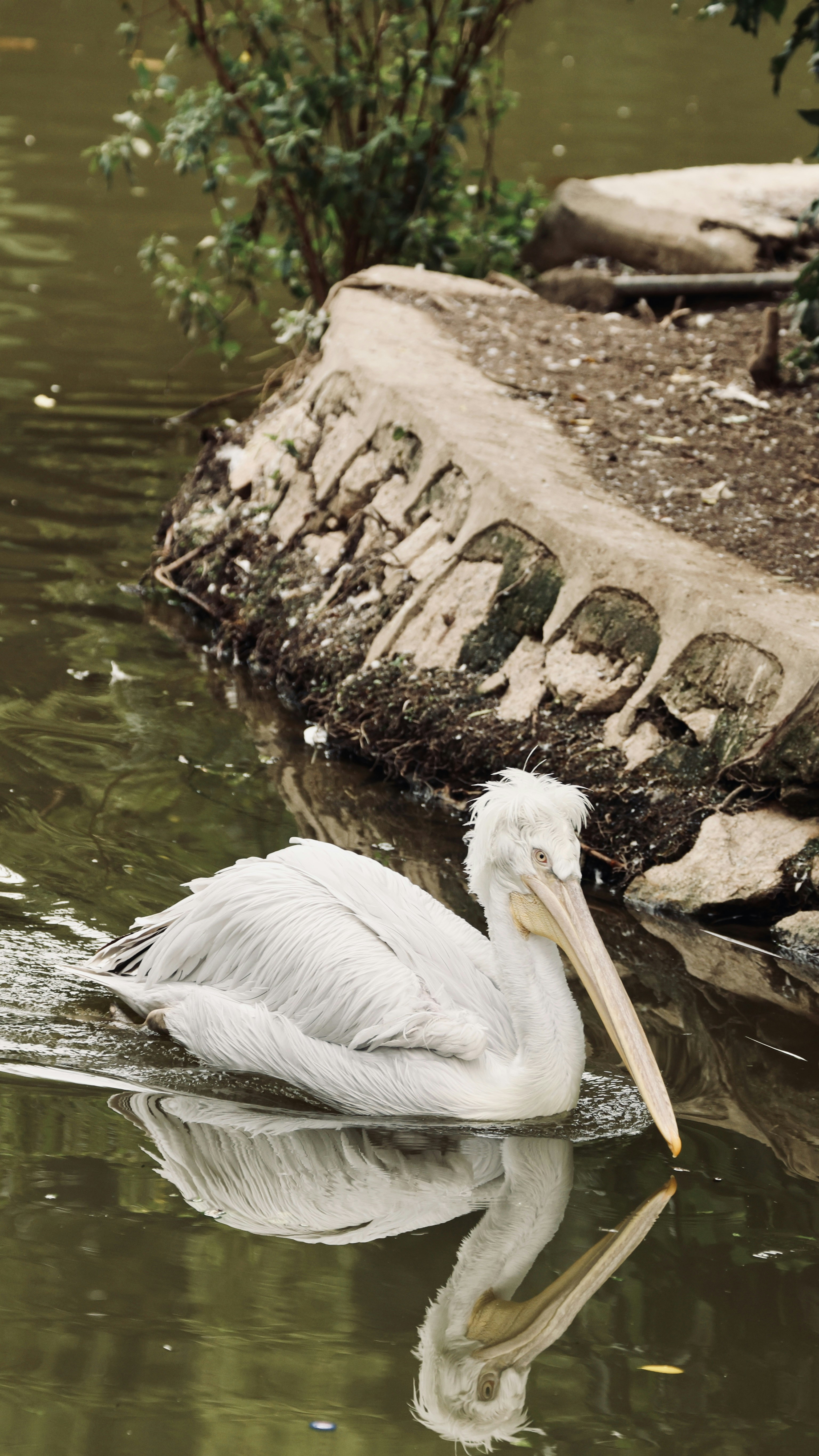 Photo by dickenslin76