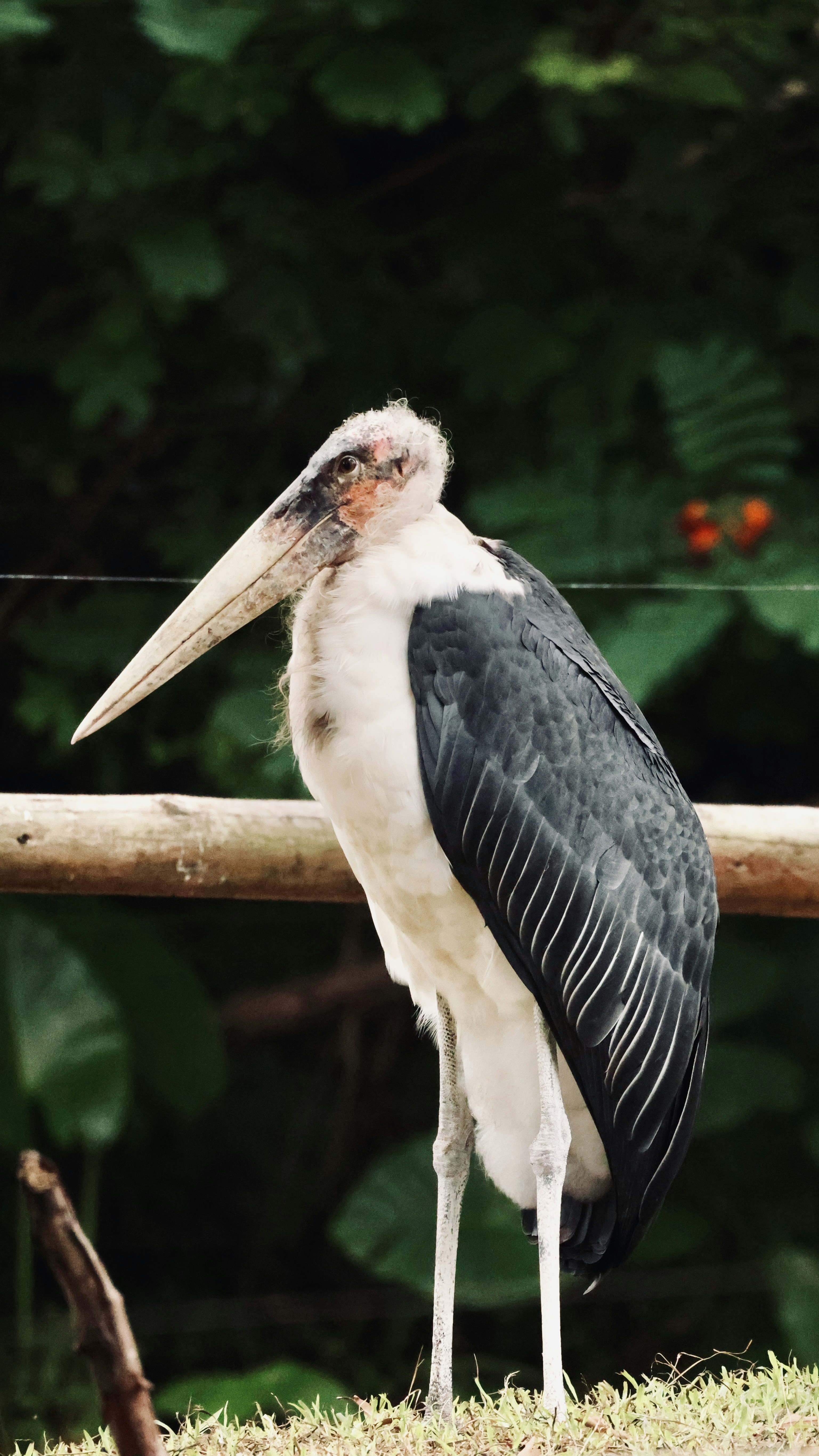 Photo by dickenslin76