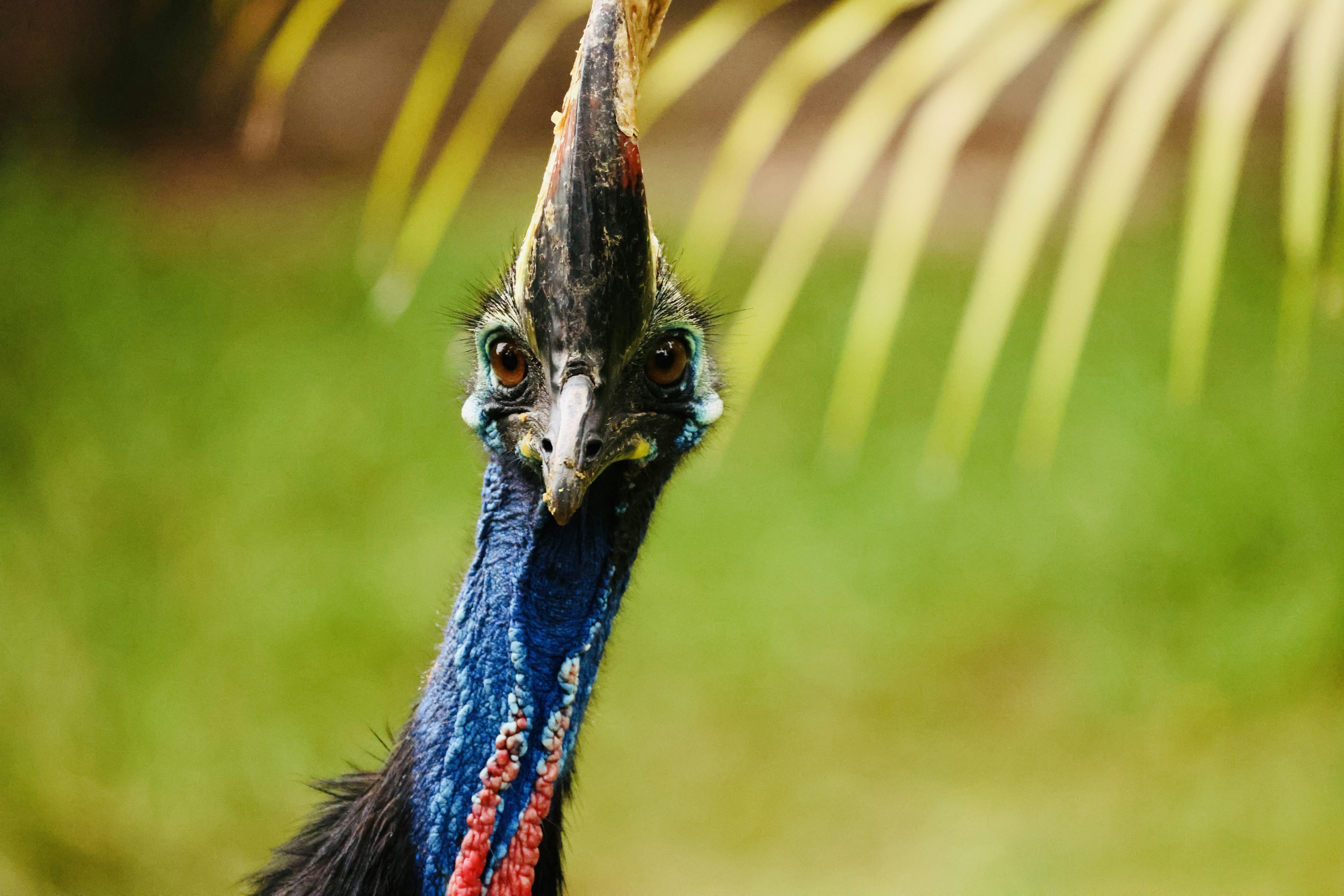 Photo by dickenslin76