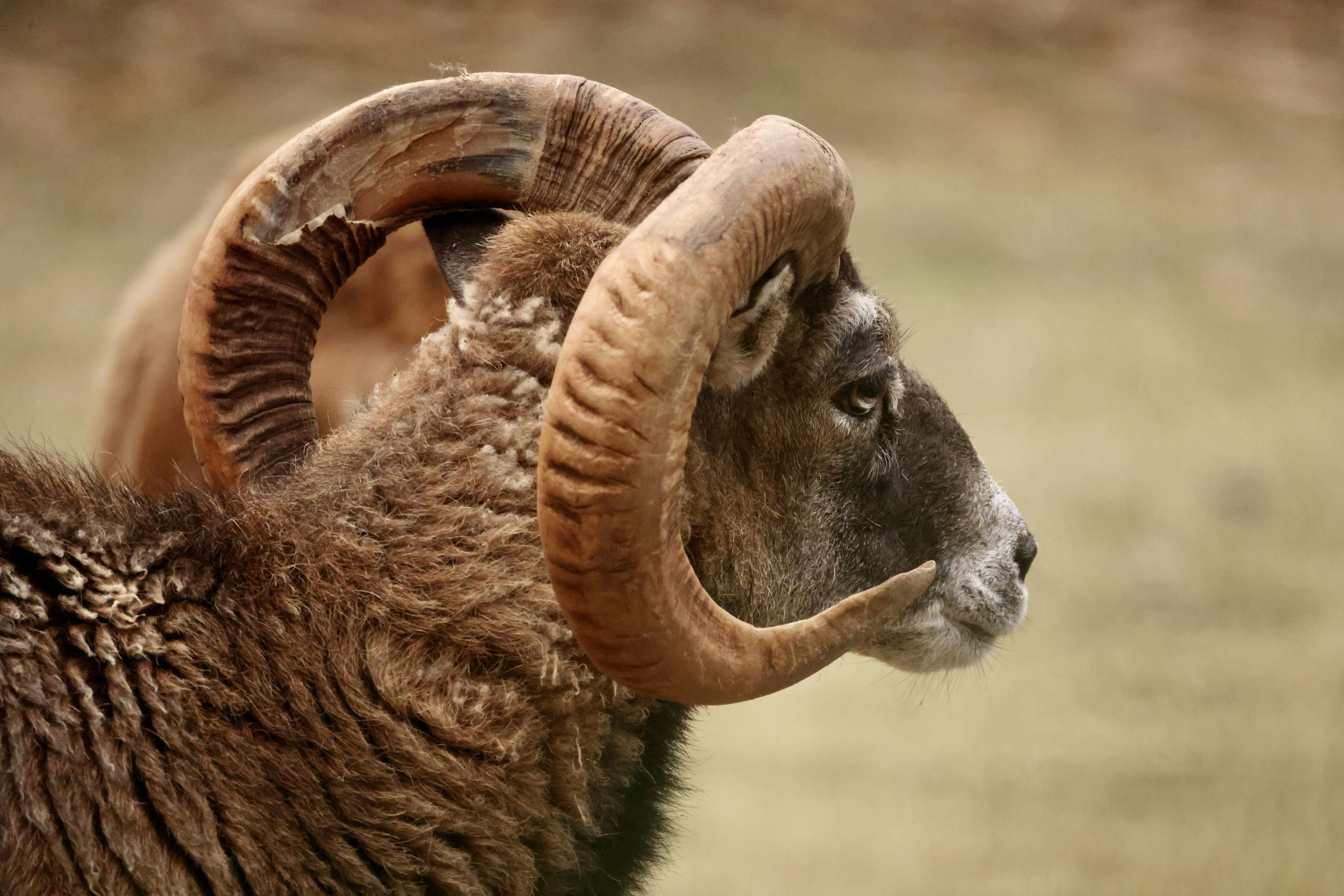 Photo by dickenslin76