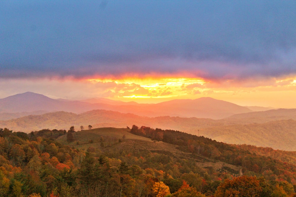 a landscape with trees and hills