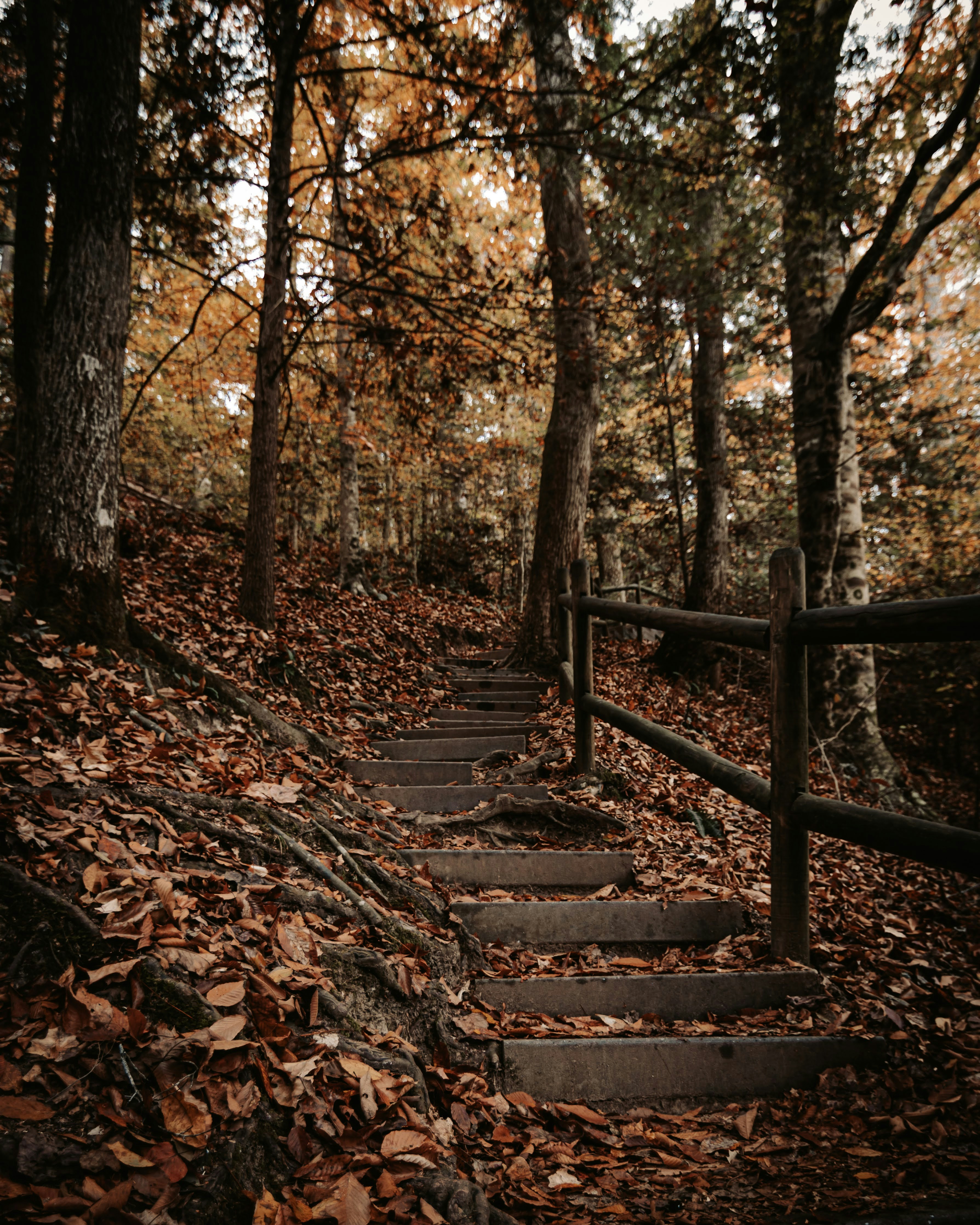 Photo by brice_cooper18