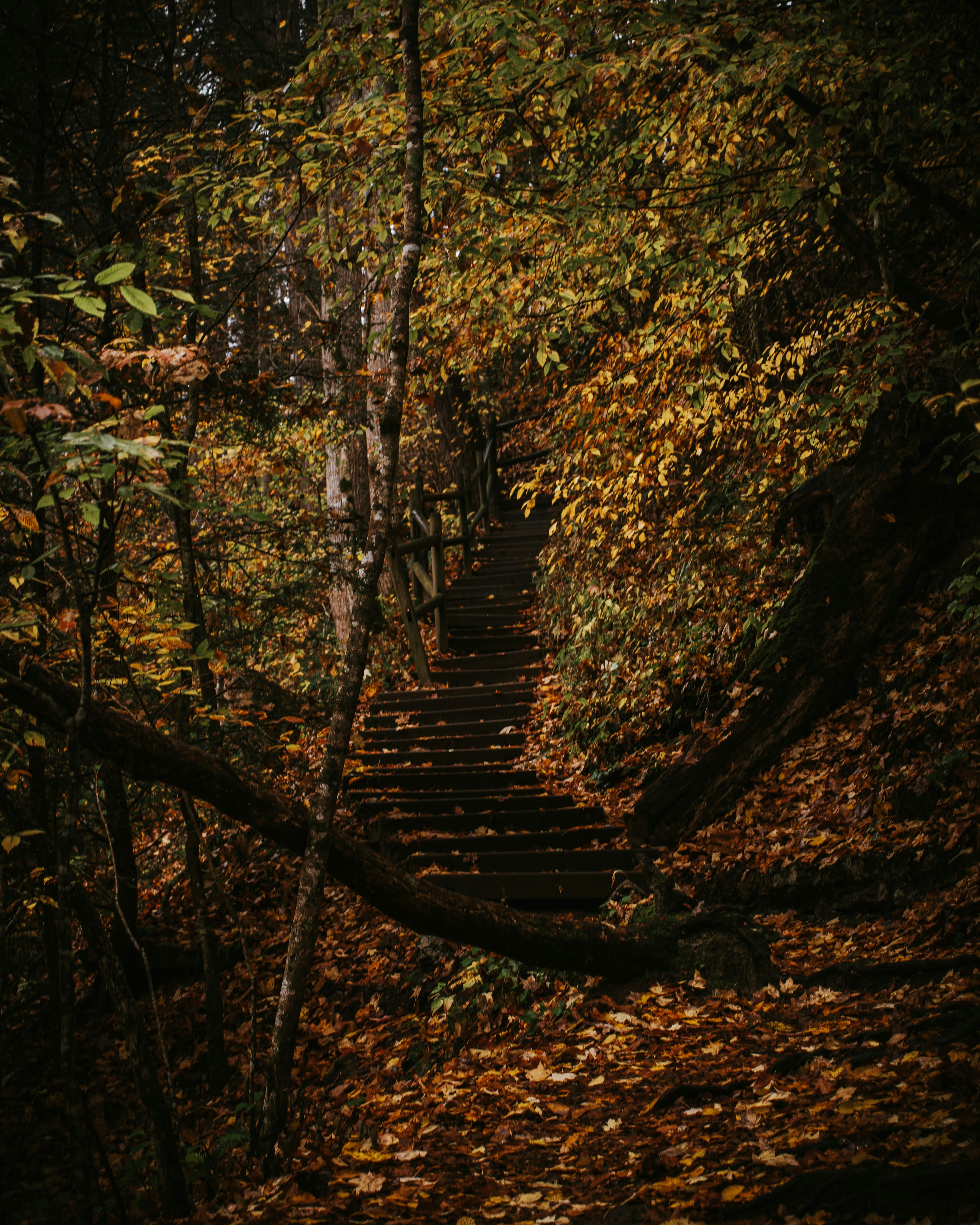 Photo by brice_cooper18