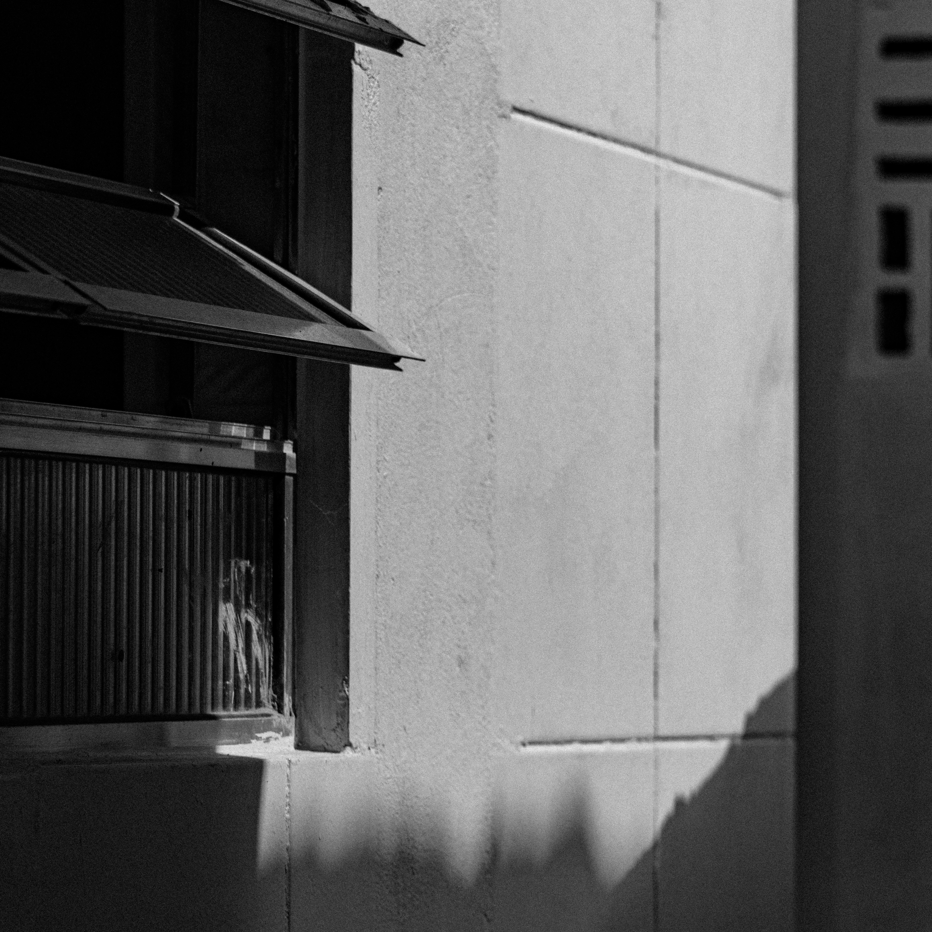 Photo by tallitamaynara