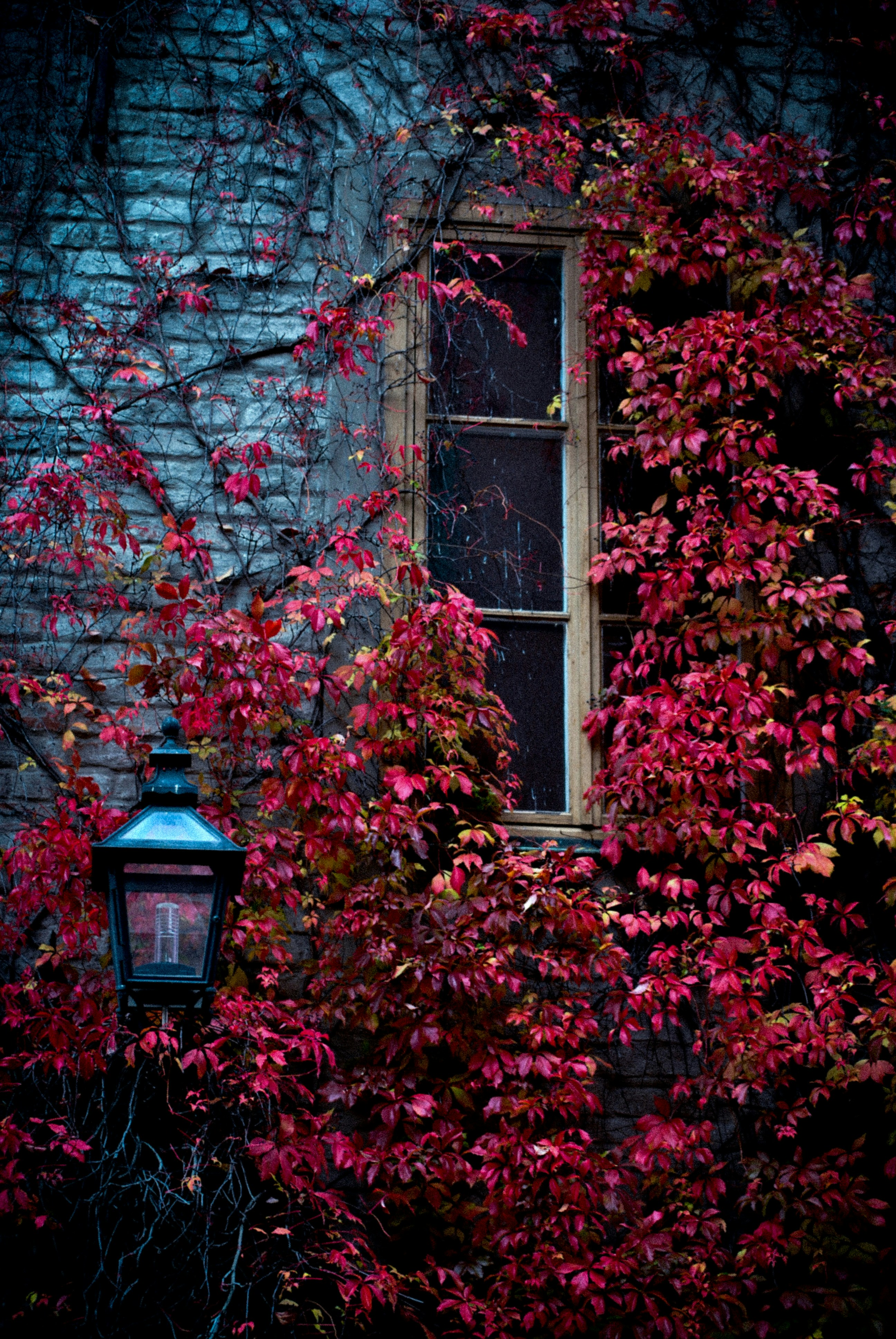 Photo by mehmetxkucukler