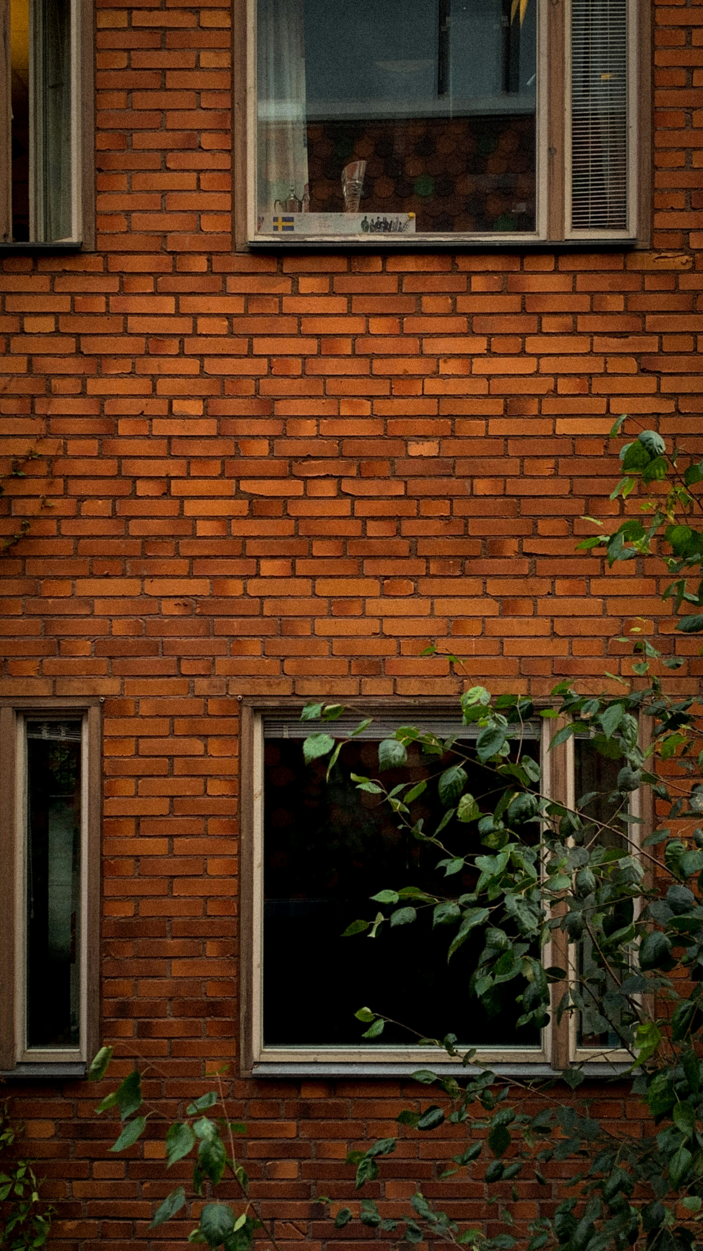 Photo by mehmetxkucukler