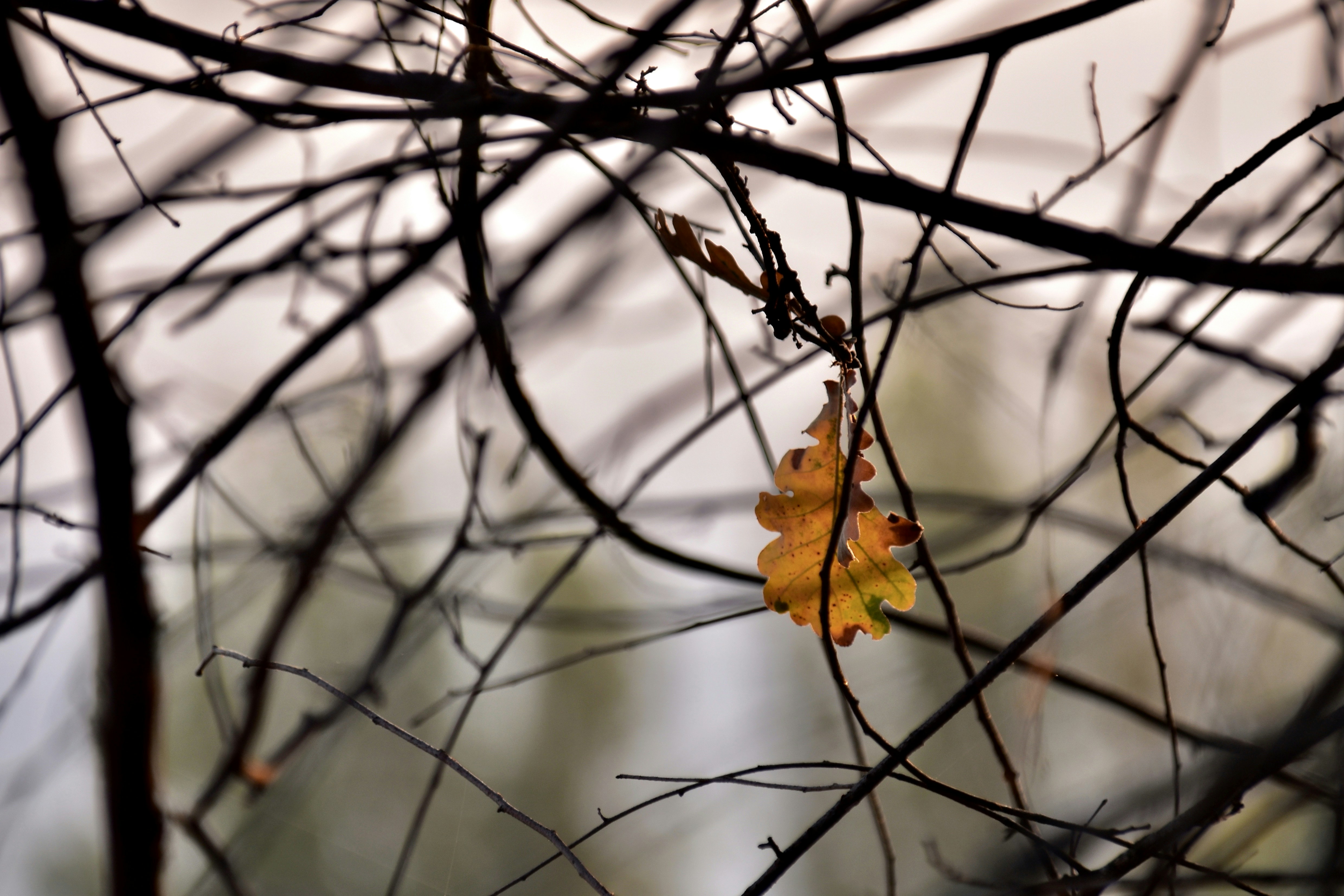 Photo by mariobeducci