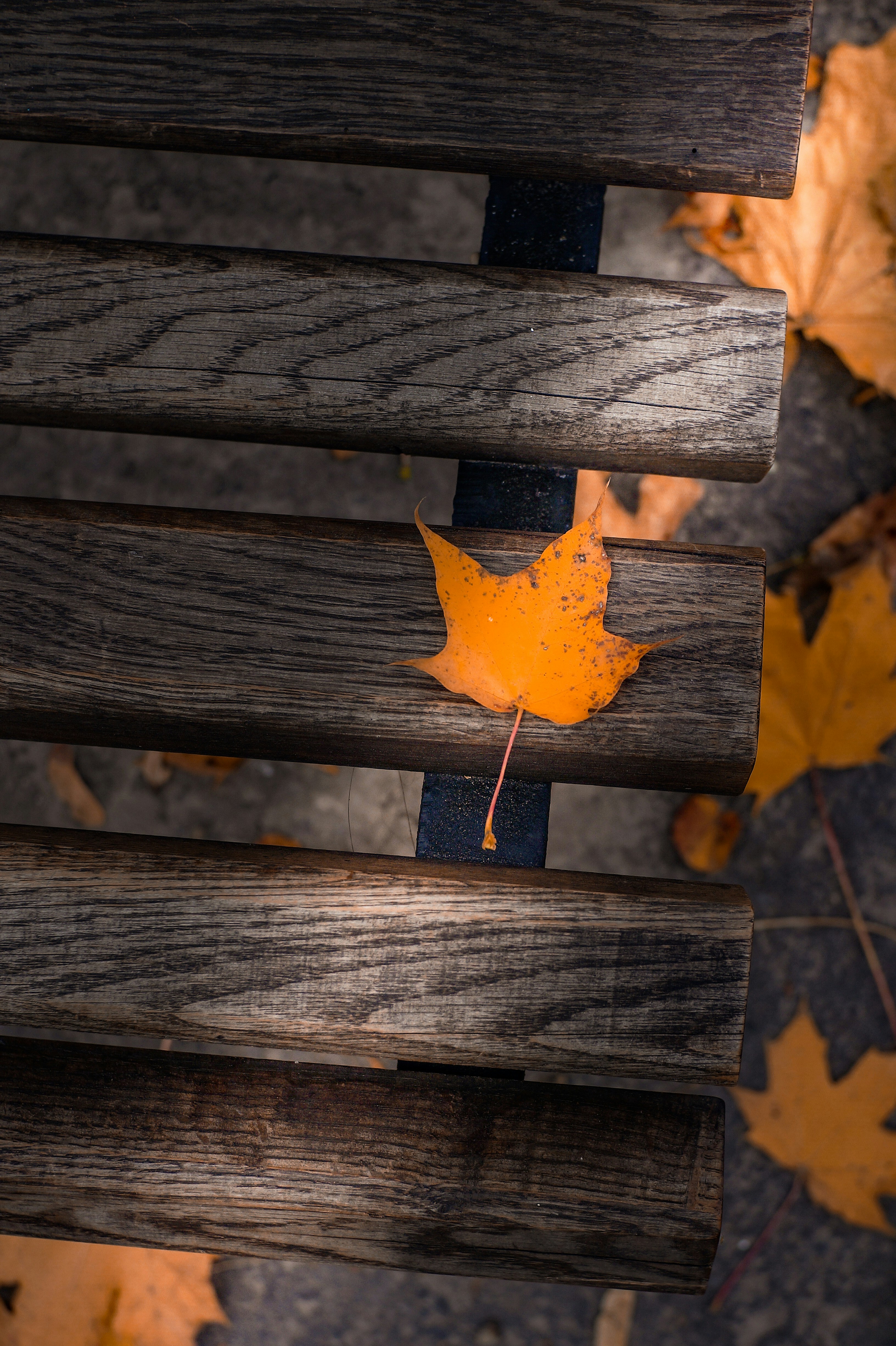 Photo by valentine_ivanova