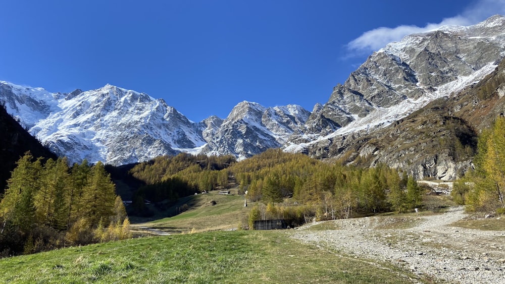 a landscape with mountains and trees