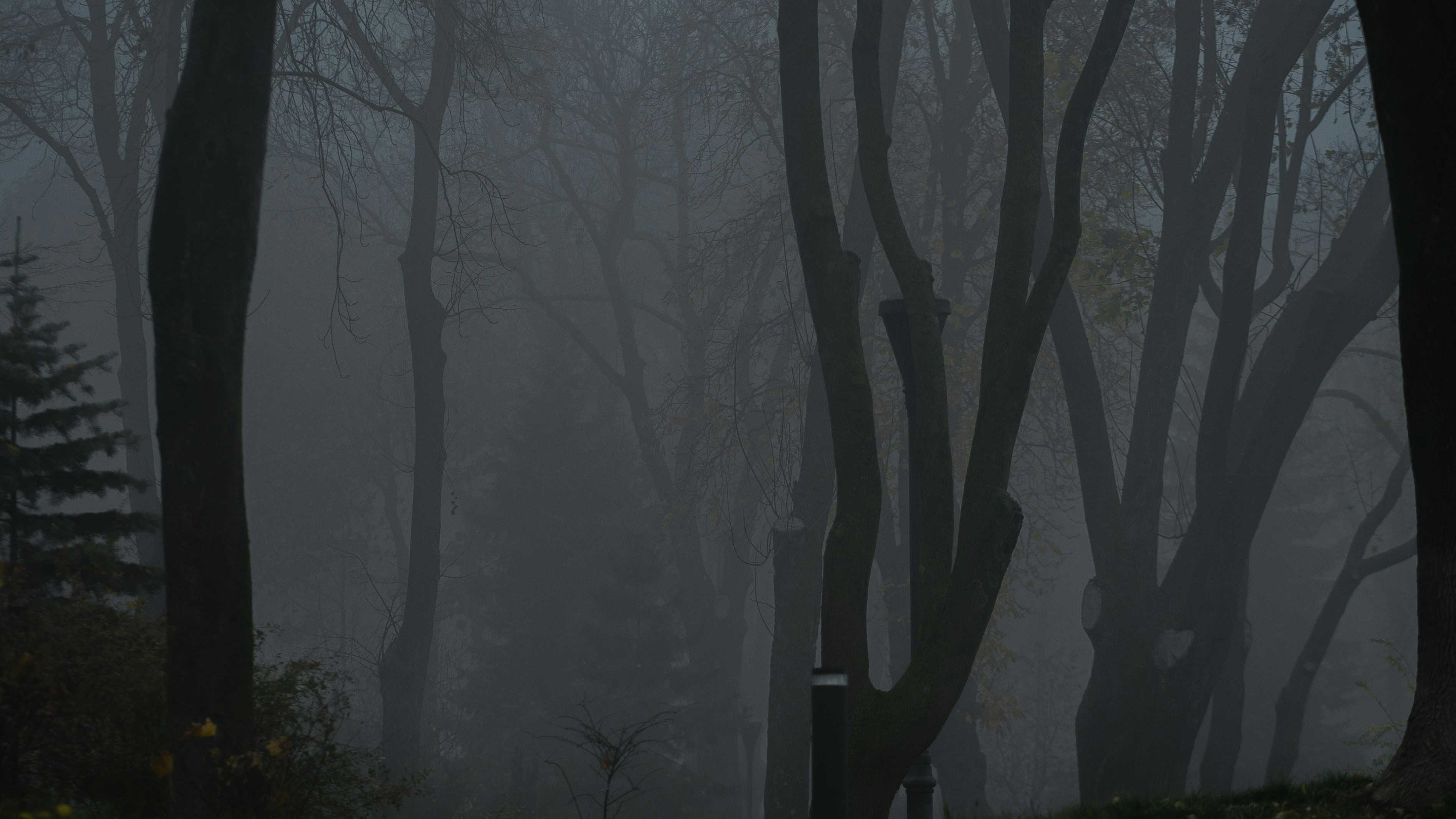 Photo by eugenechystiakov