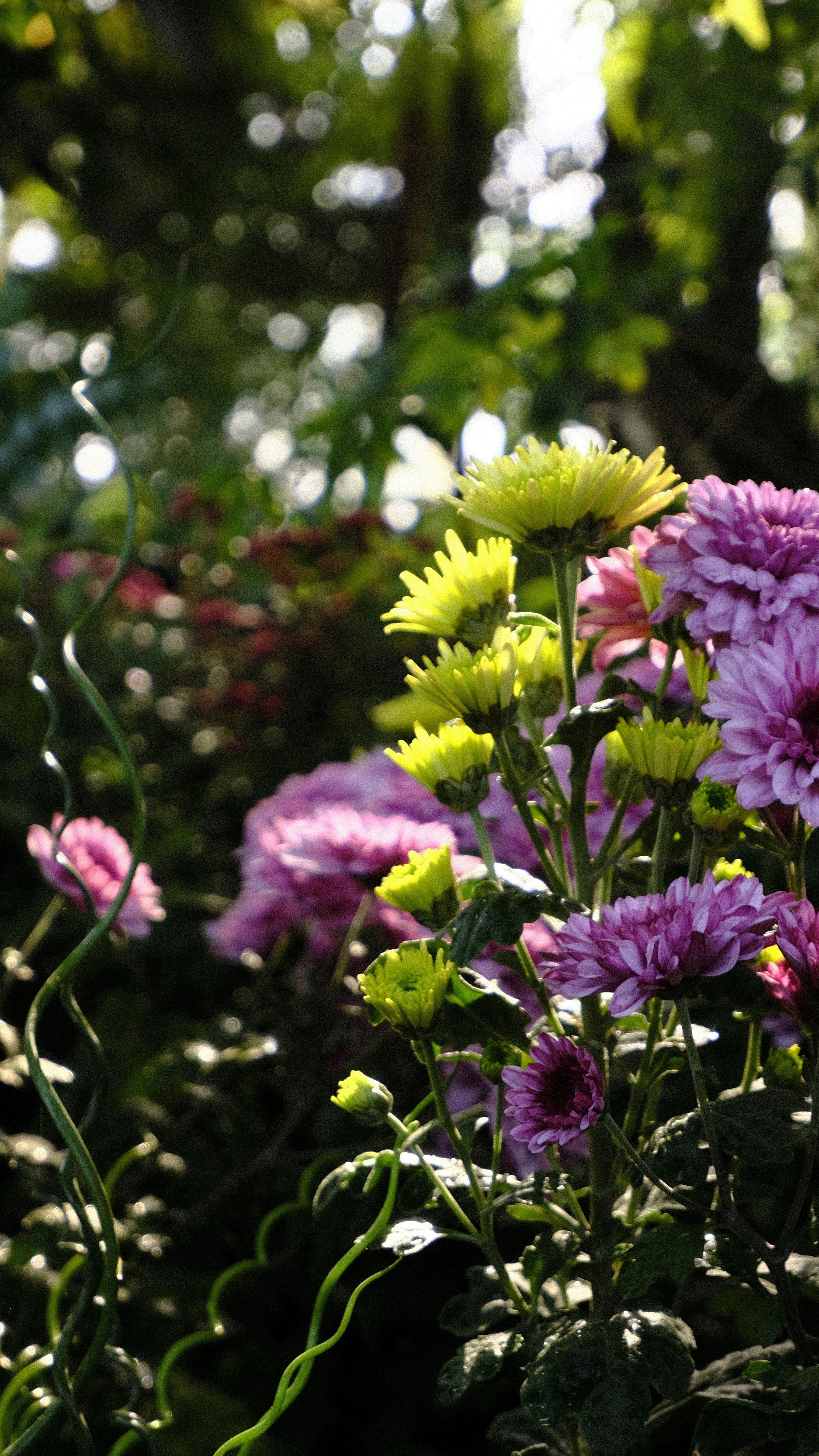 Photo by kmondschein