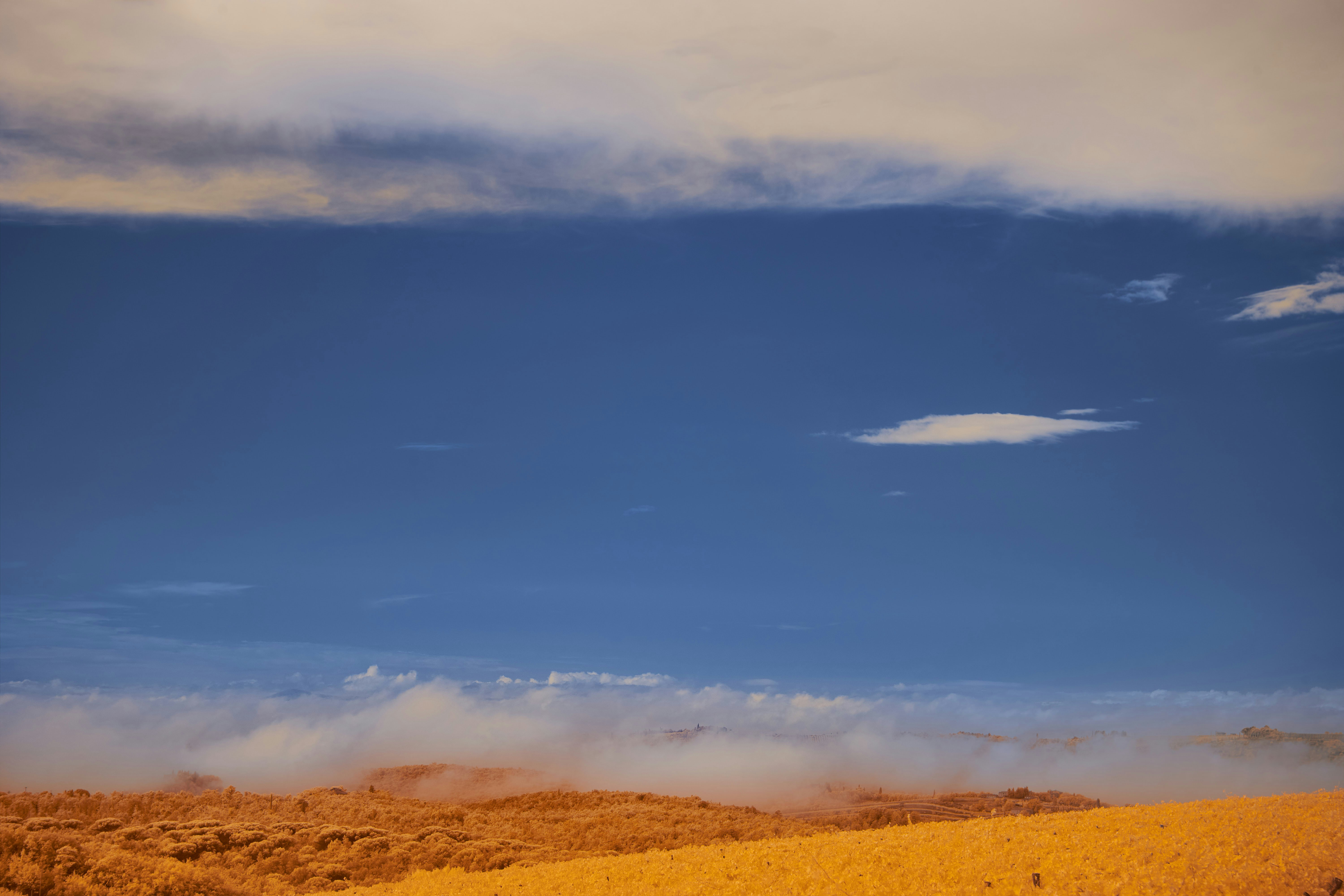 Photo by wolfgang_hasselmann