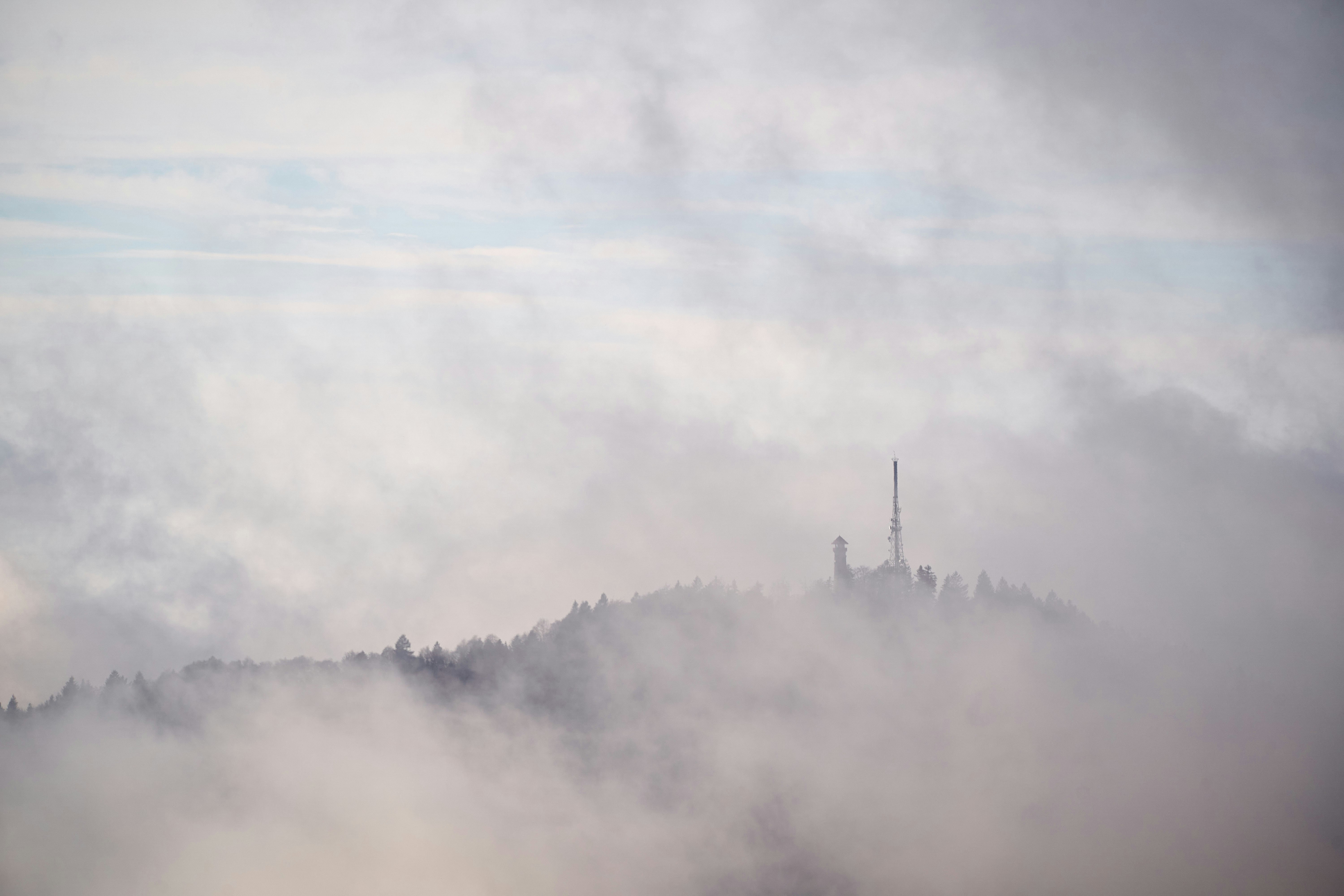 Photo by wolfgang_hasselmann