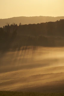 A serene landscape at golden hour with soft light casting long shadows over rolling hills.