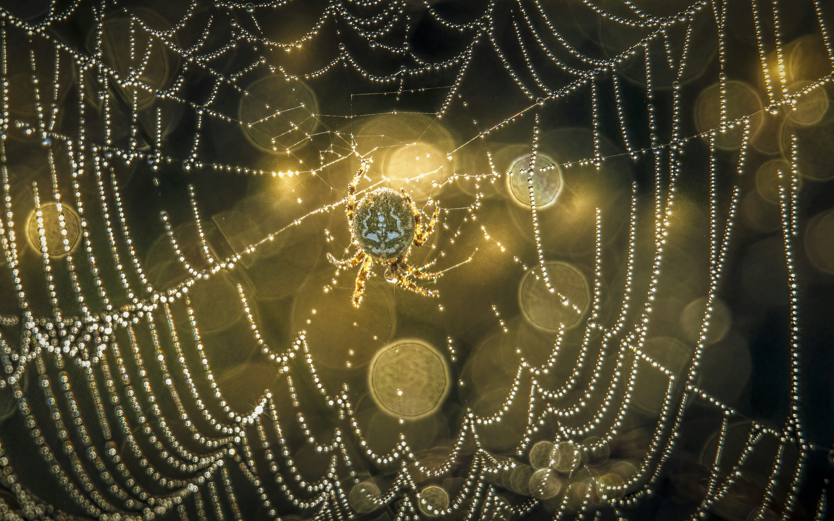 Rüya atmosferinde, gökyüzündeki yıldızlar arasında parlayan ışıklı ipliklerle örülmüş sembolik bir kader ağı ve kozmik manzara.