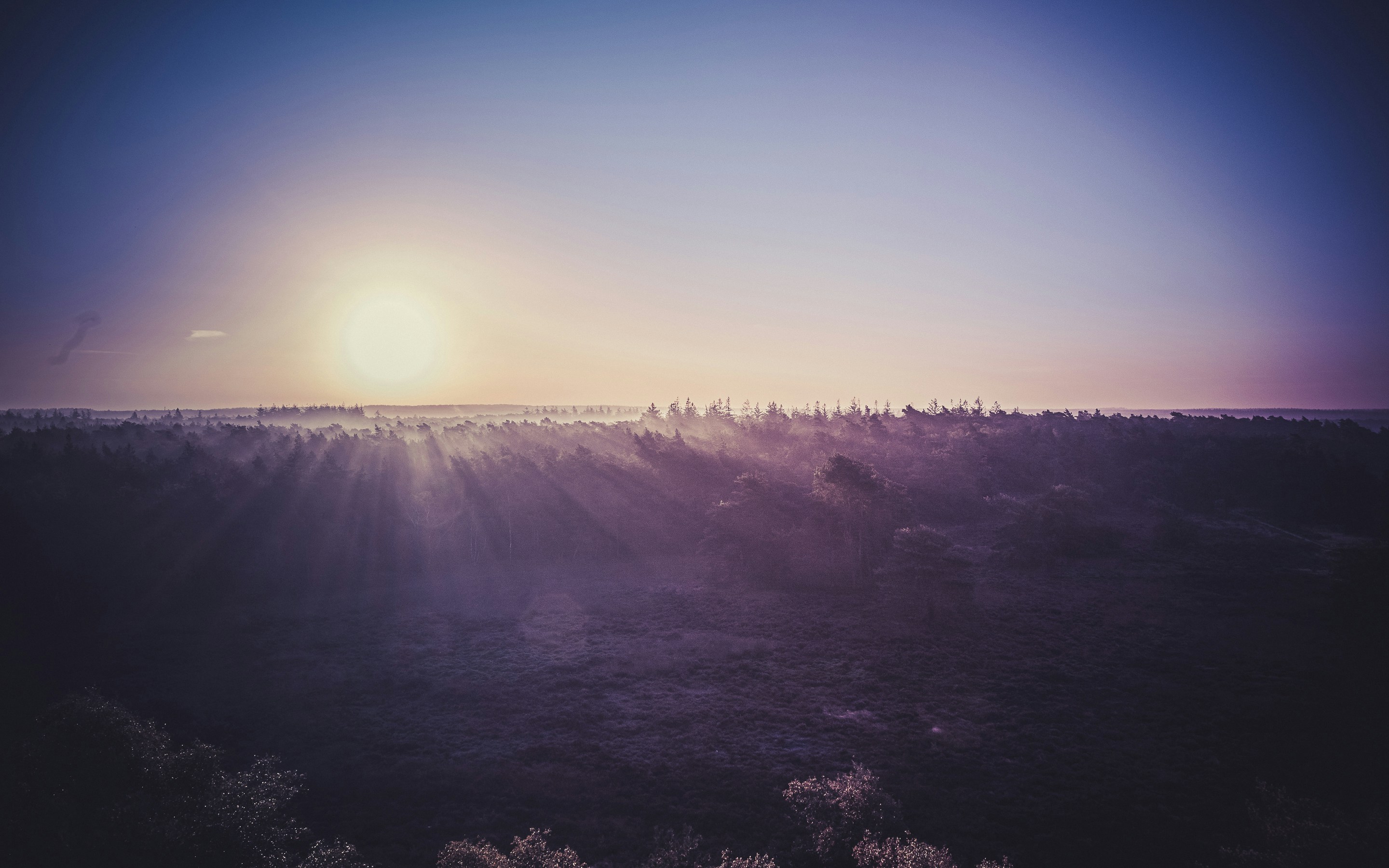 Photo by robtol