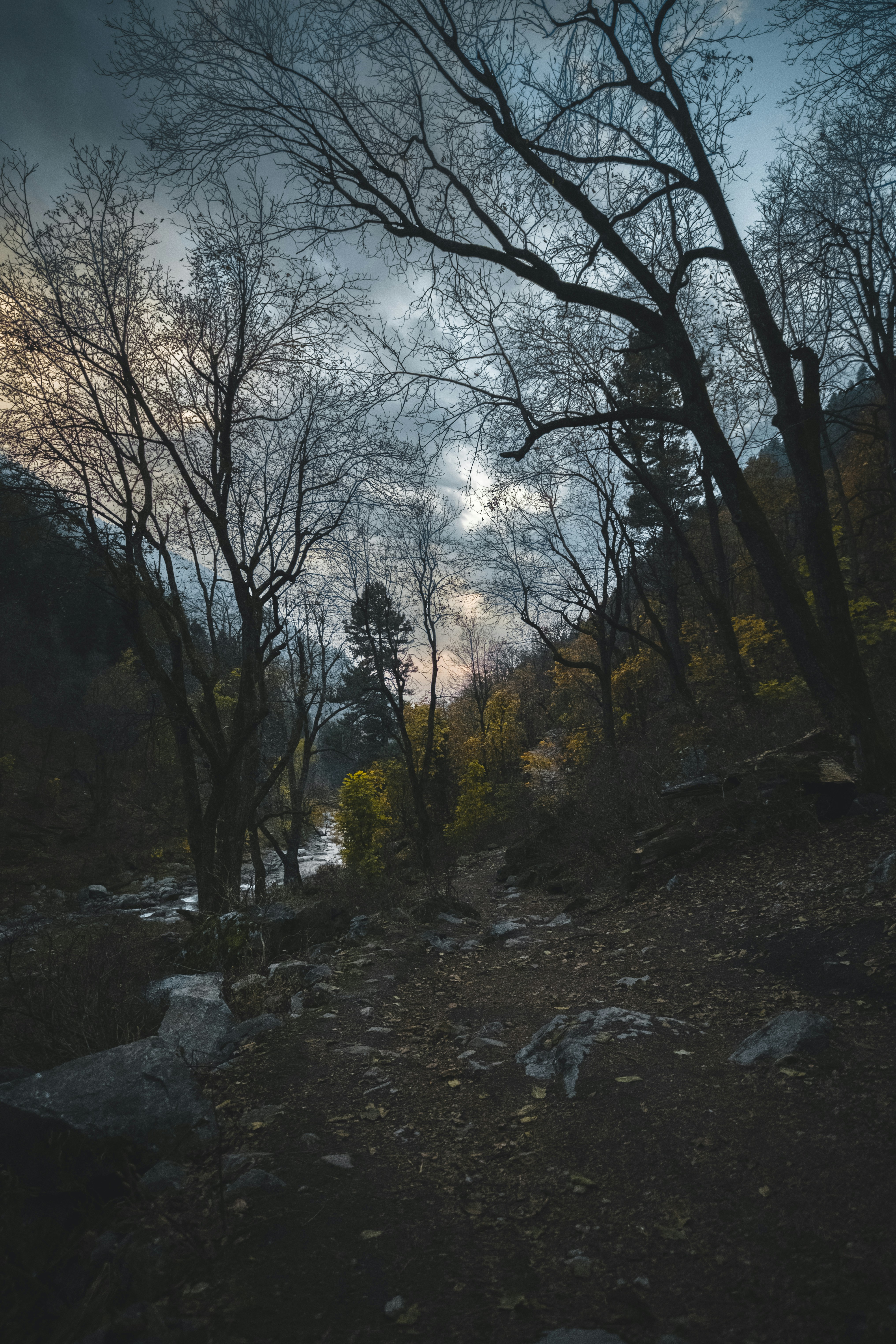 Photo by hiresayan