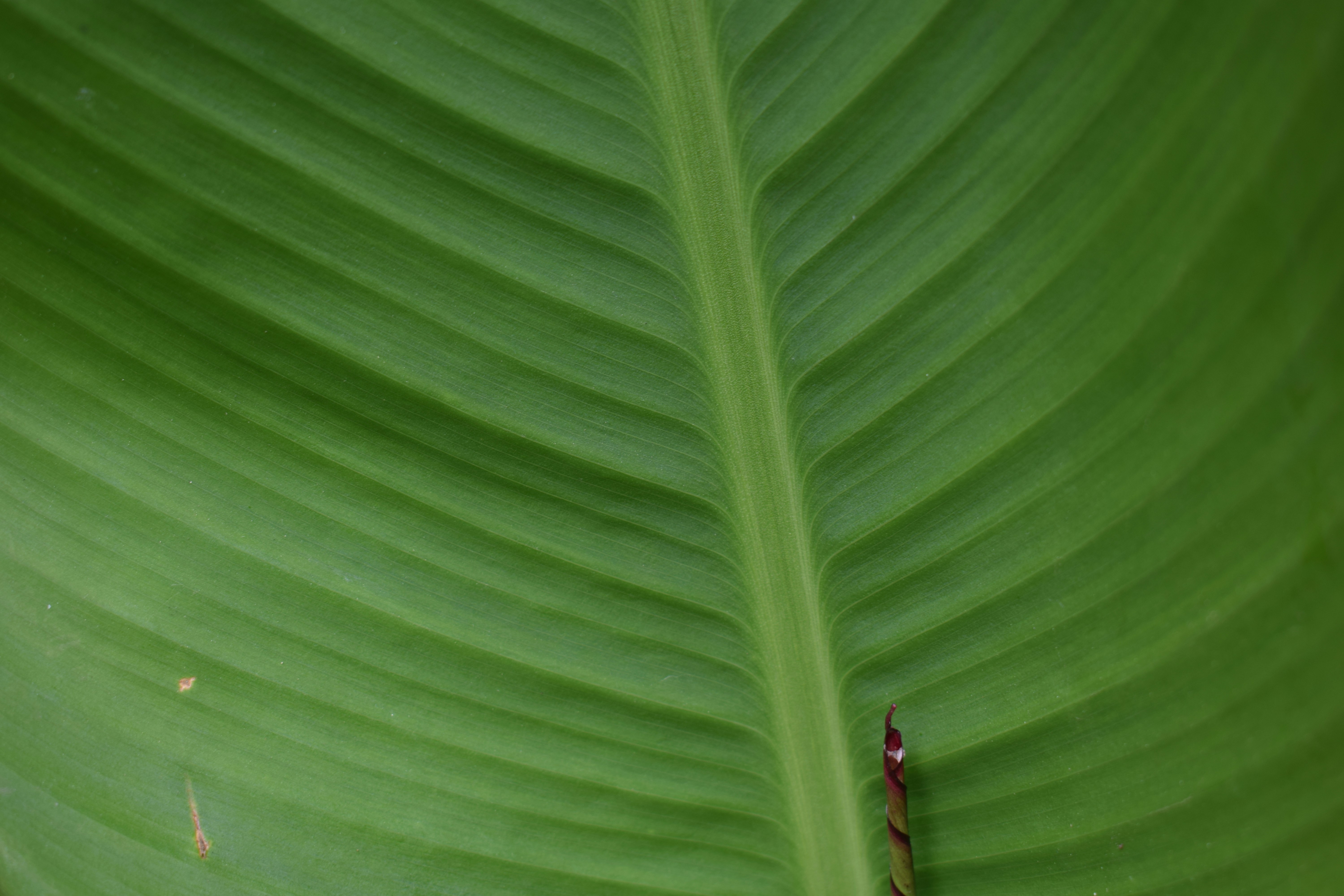 Photo by simplicity