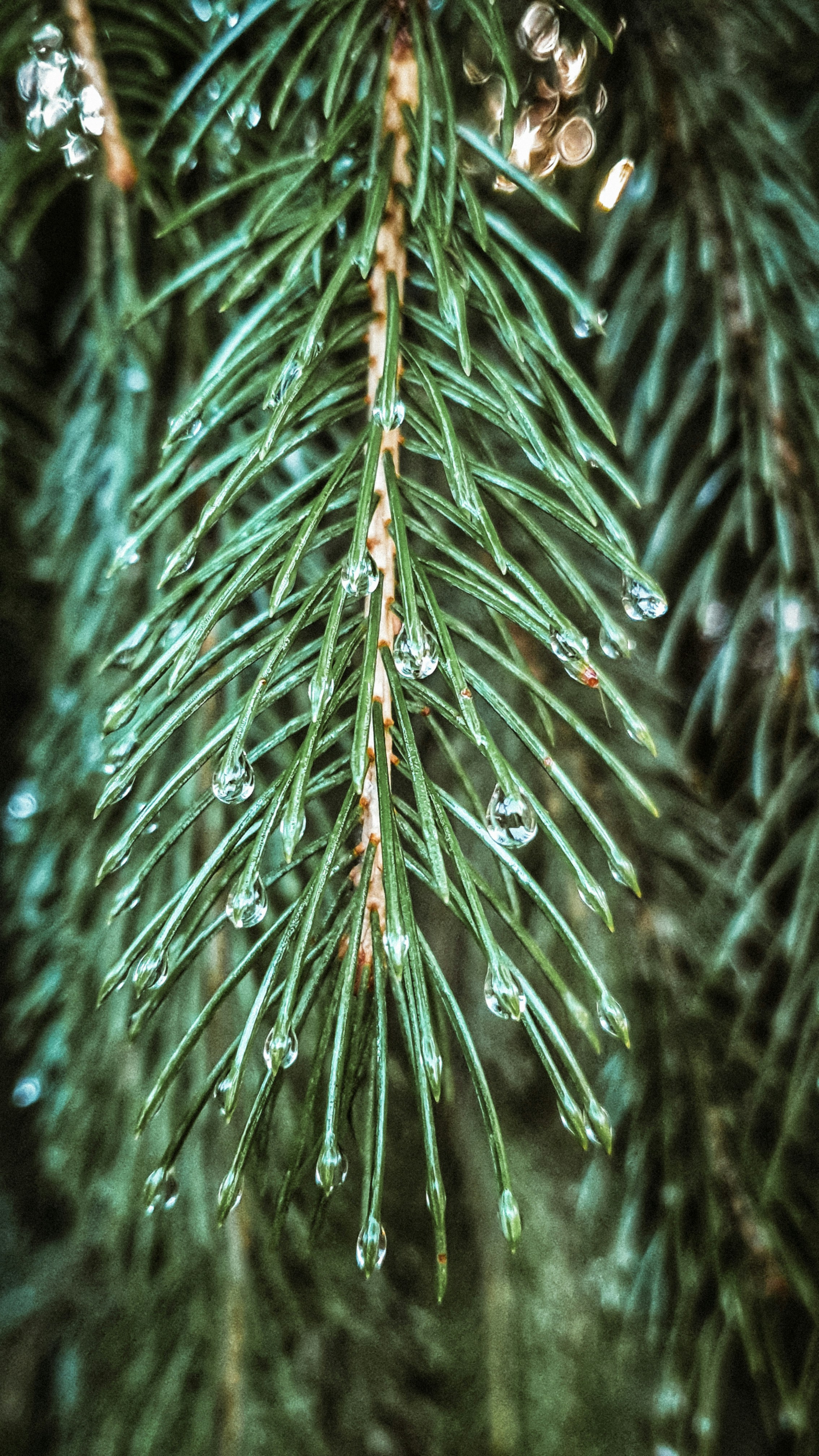 Photo by _oxana_salamat