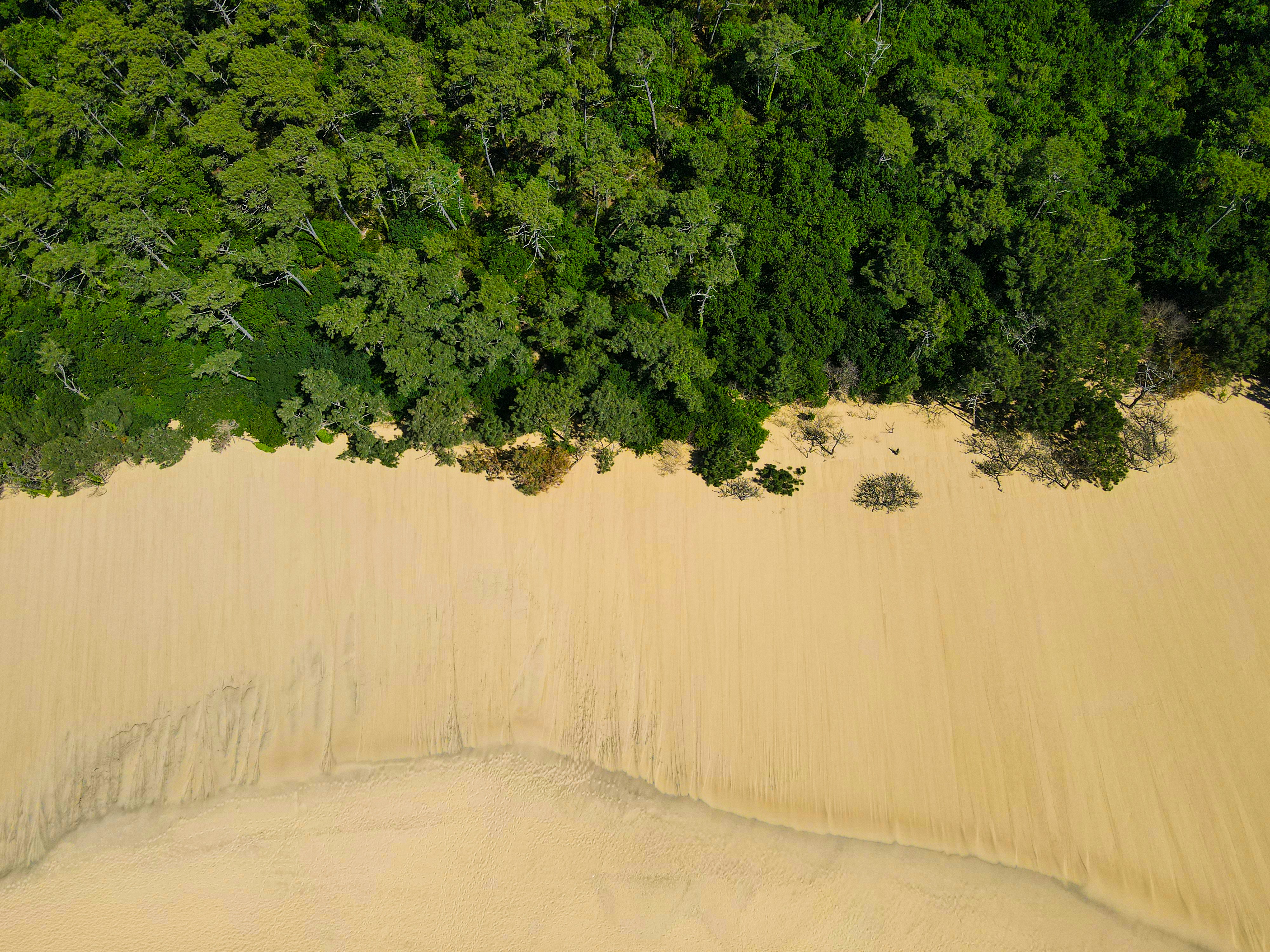 Photo by florian_delee