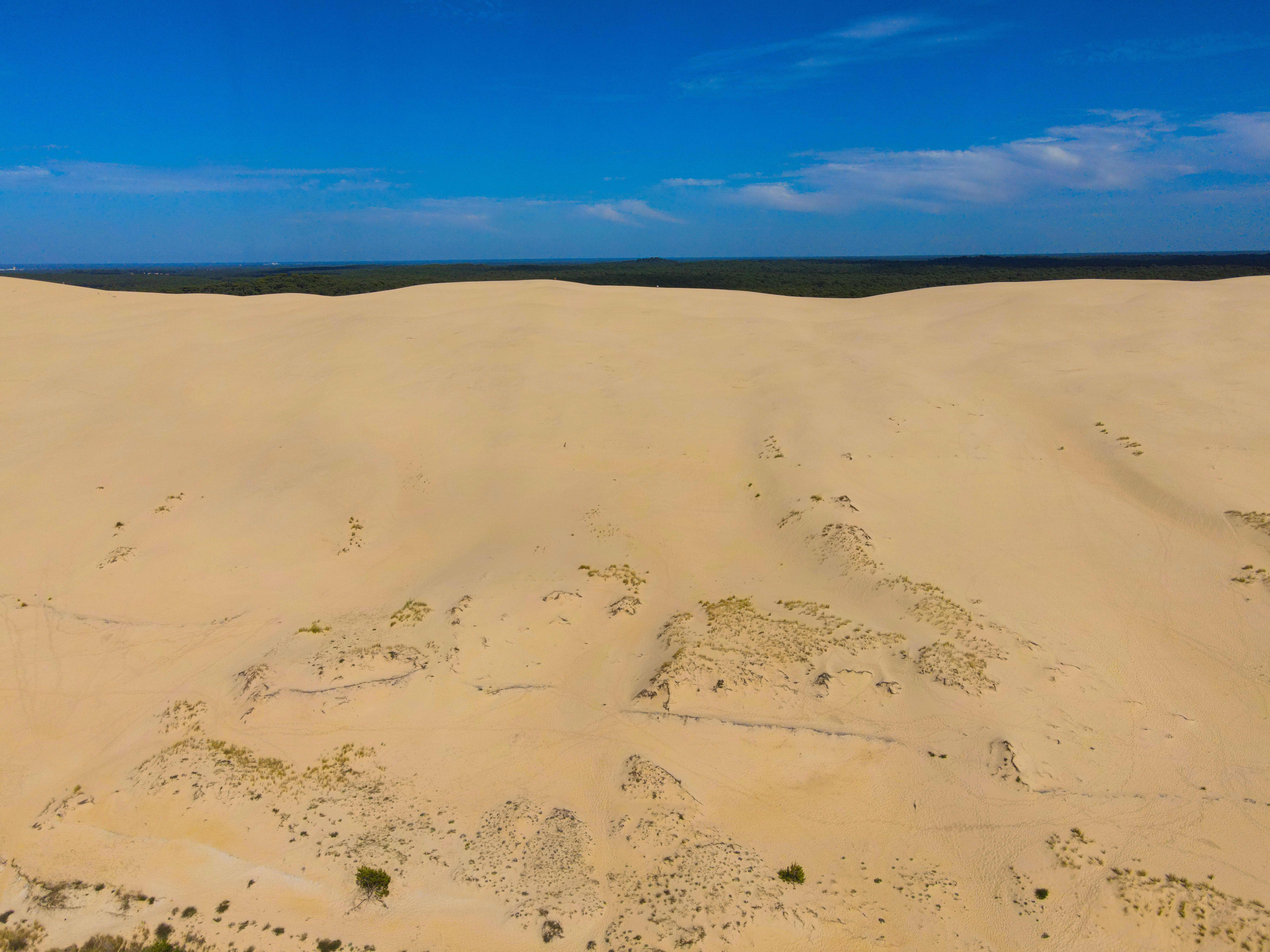 Un vaste paysage désertique