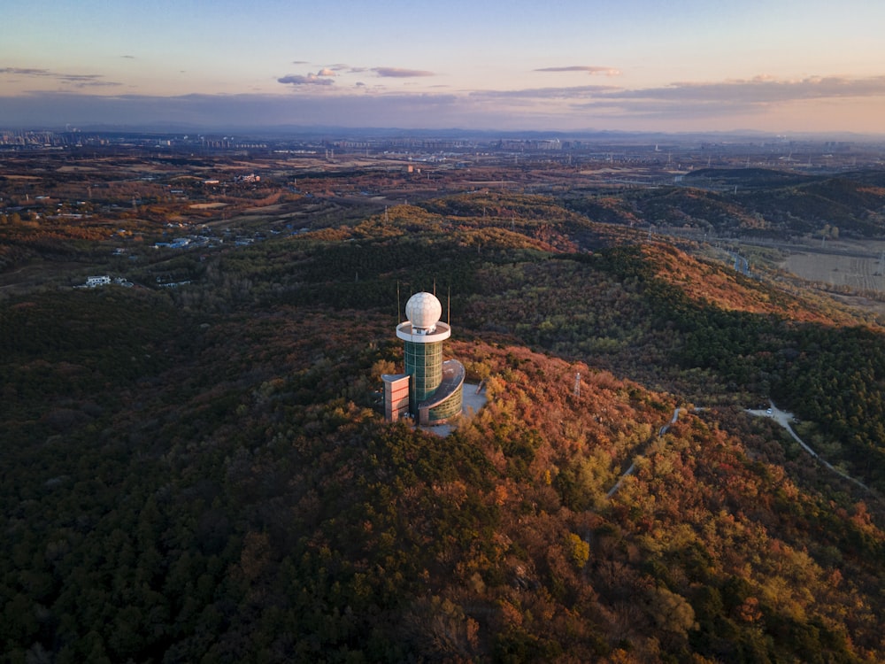 a tower in a forest