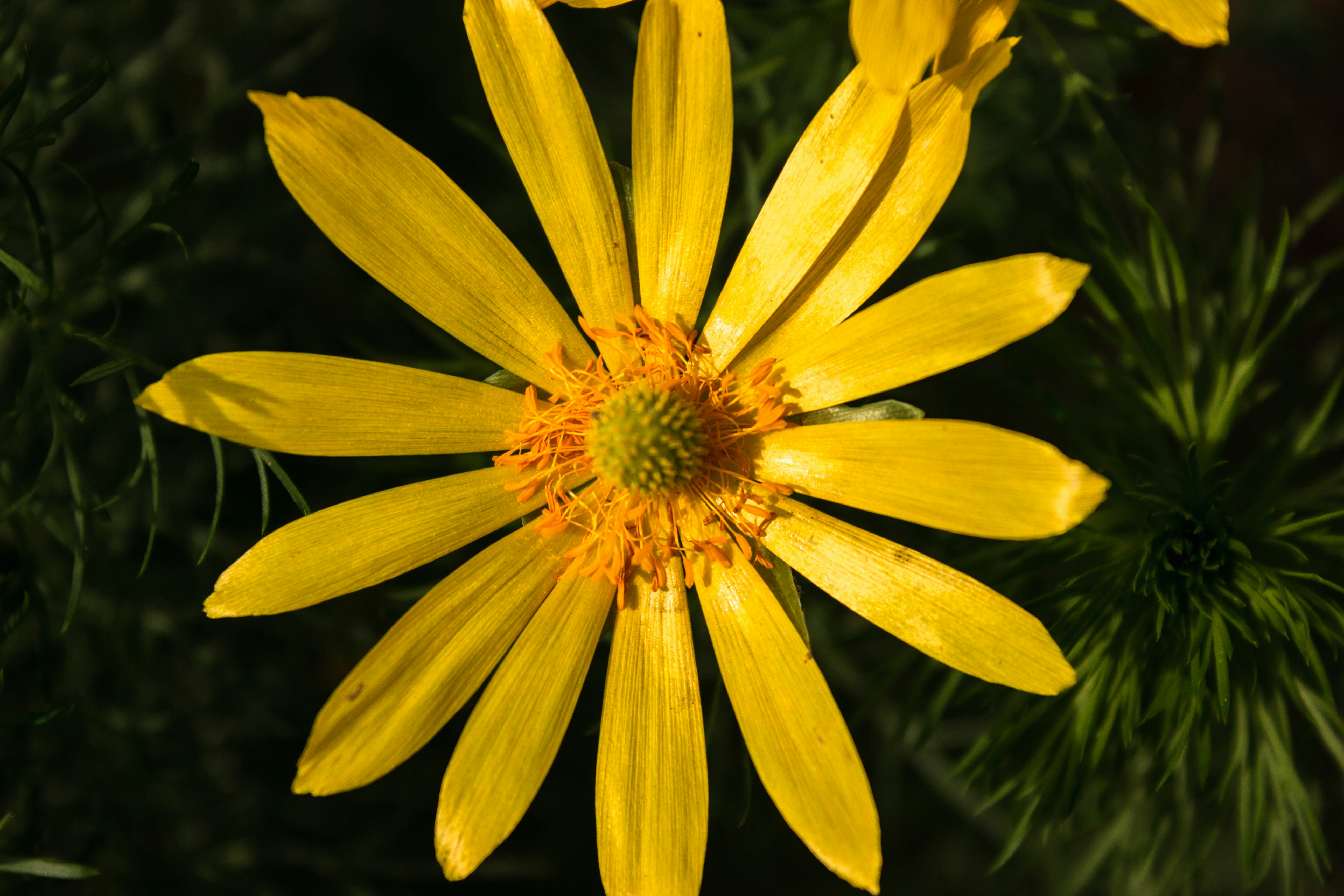 Photo by reanimatedmanx