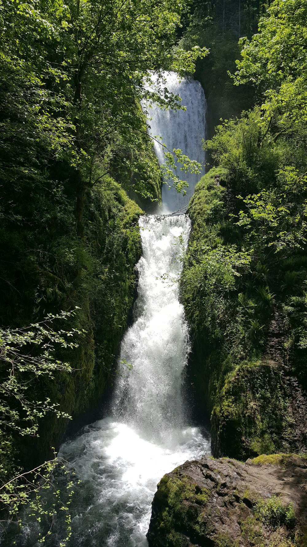 a waterfall in a forest