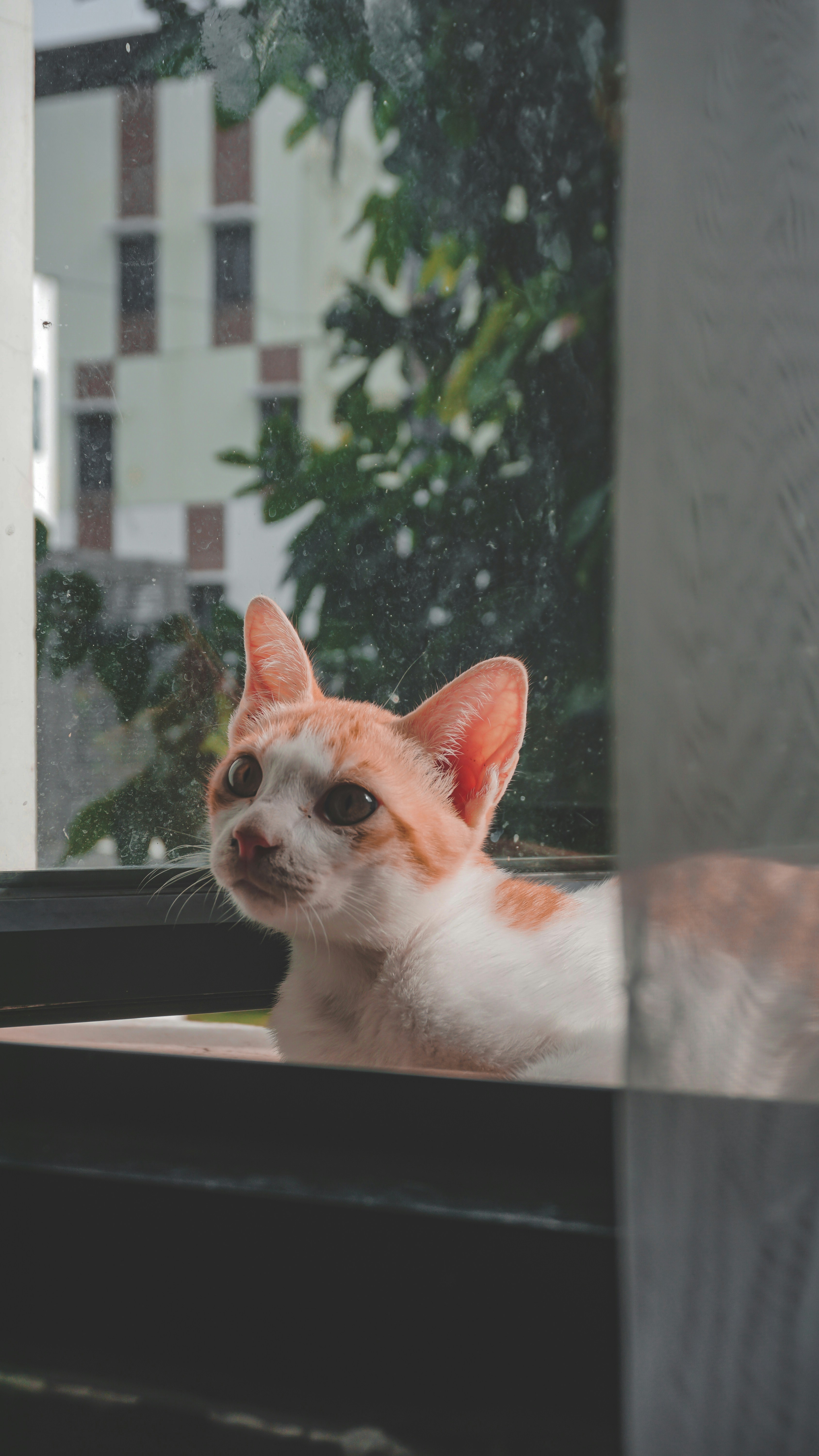 Photo by nabilchoiri11