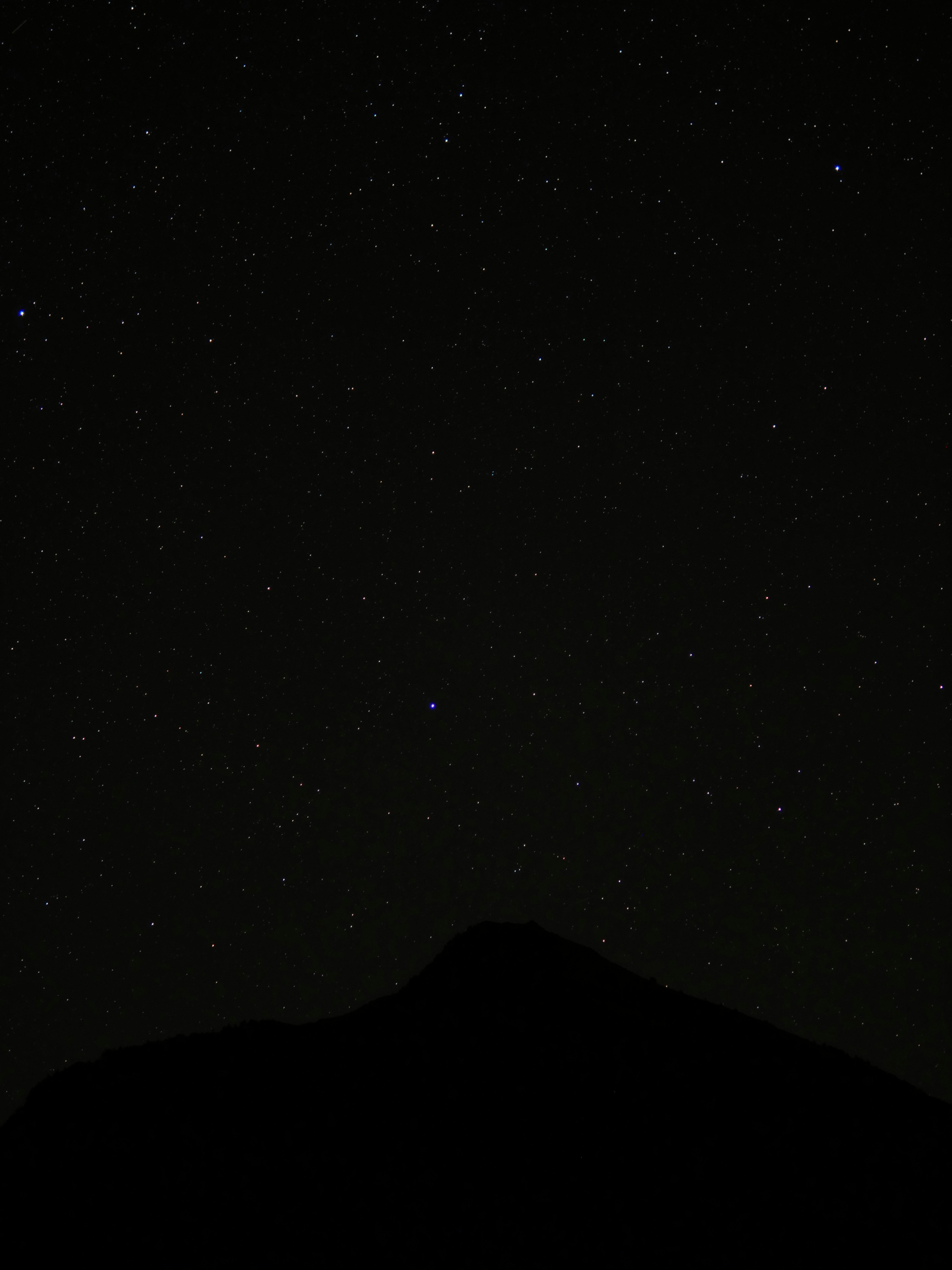 Photo by nimbus_vulpis