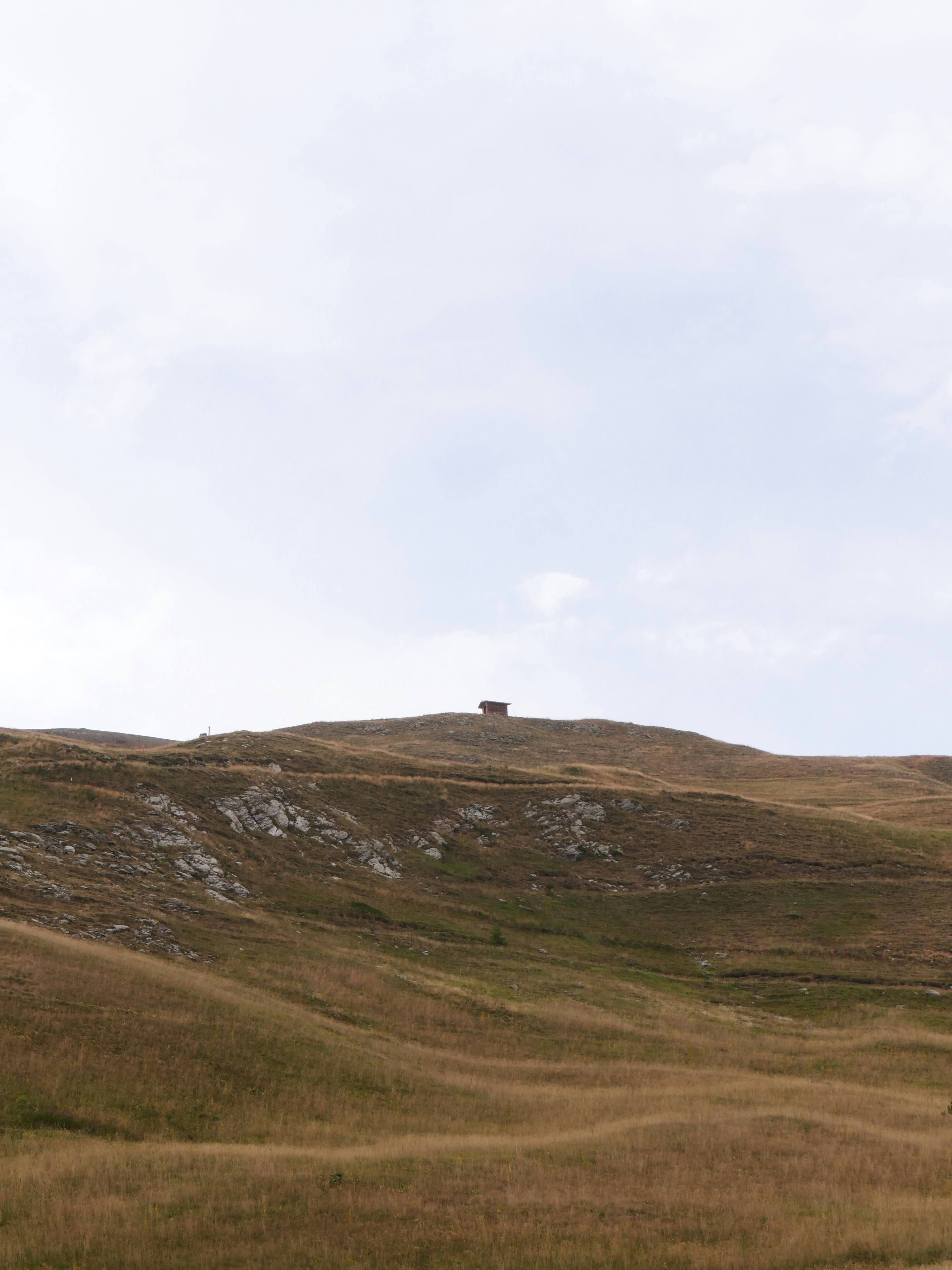 Photo by nimbus_vulpis