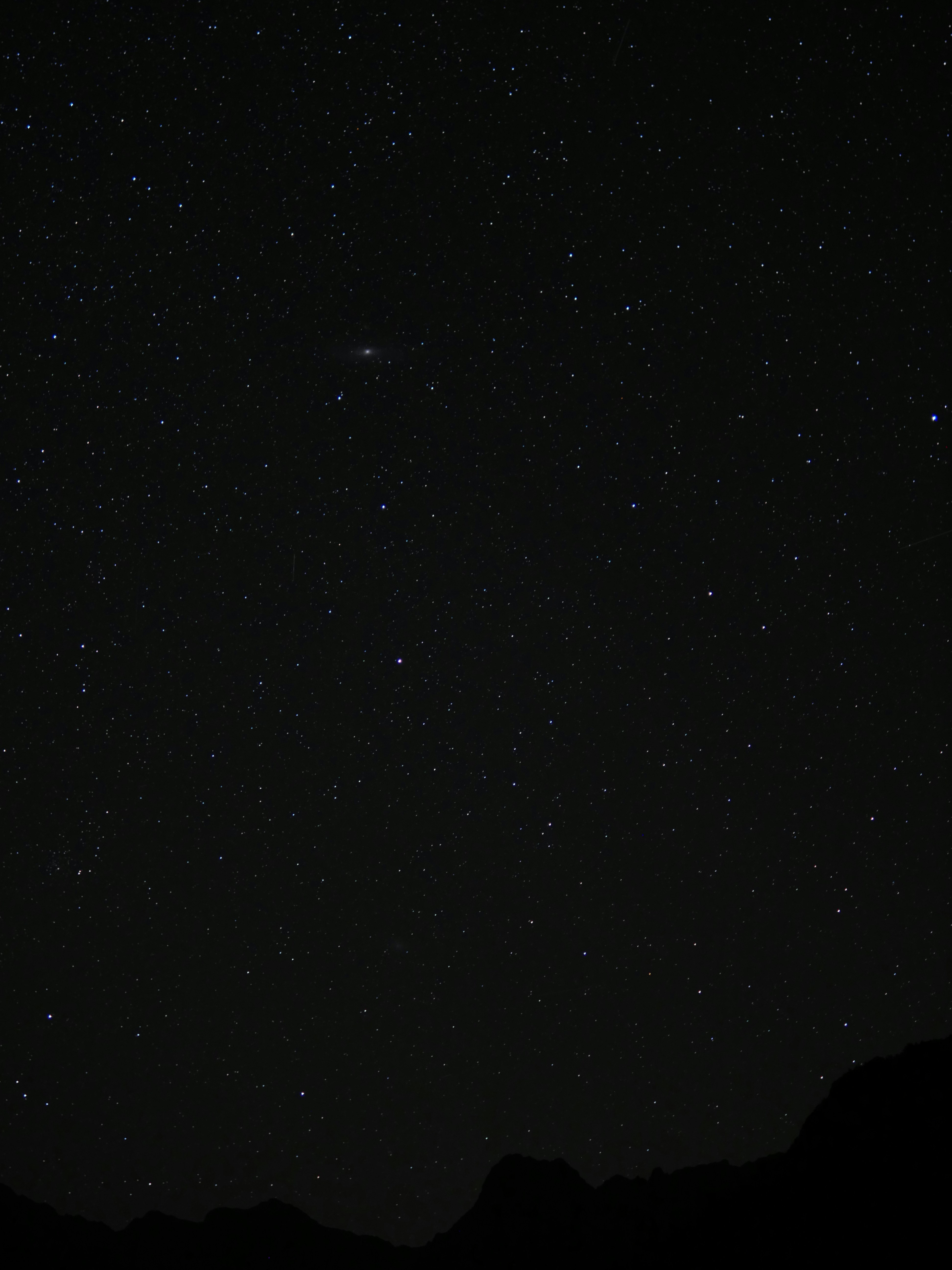 Photo by nimbus_vulpis