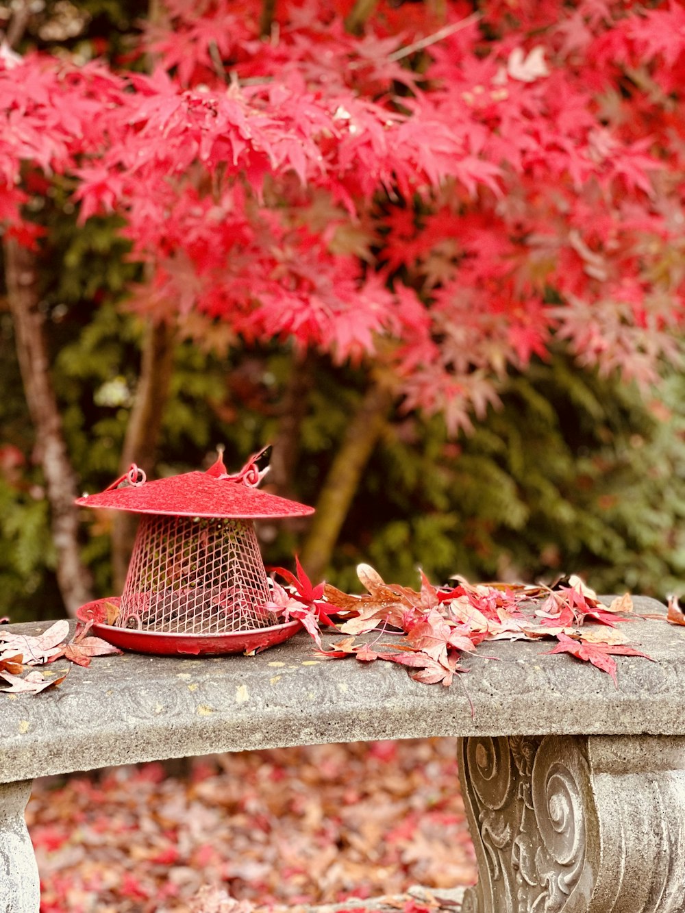 a red vase with leaves on a table