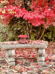 a bench with a red pot on top of it